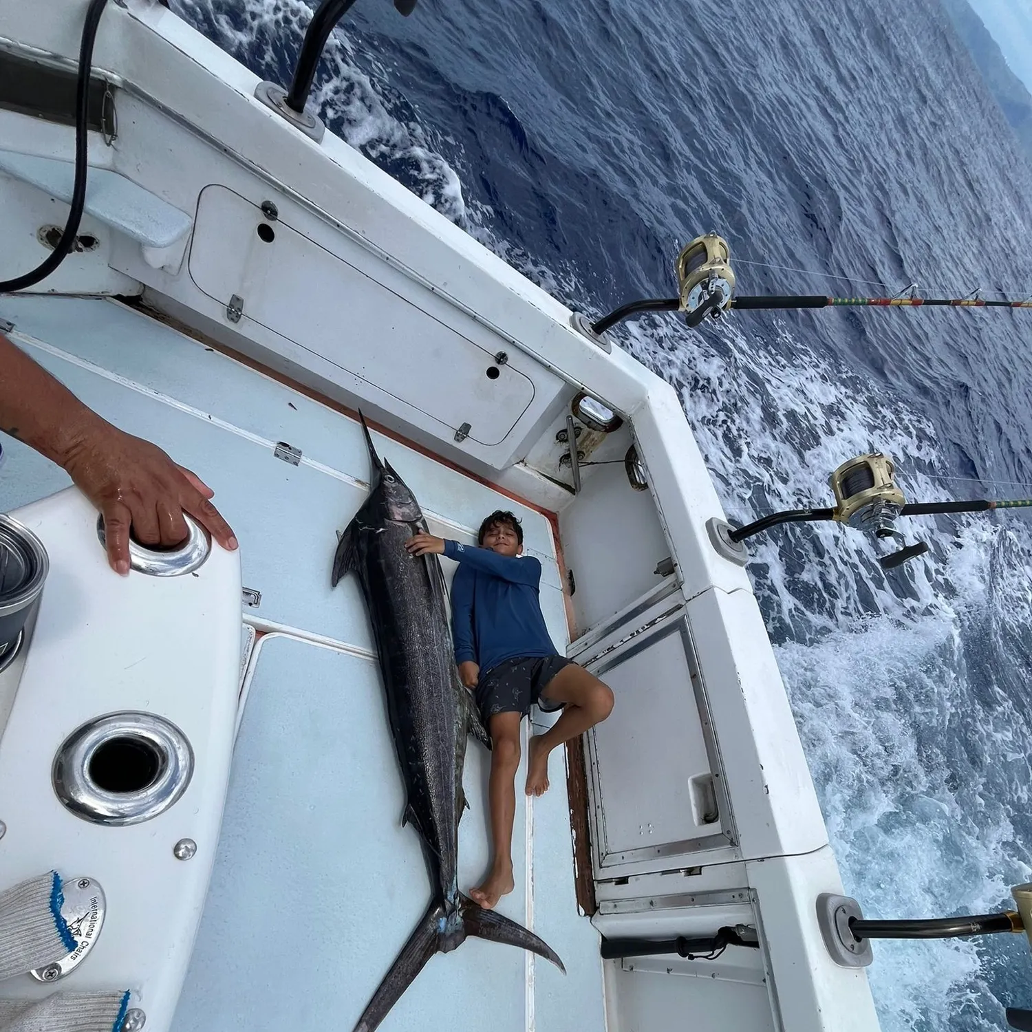 The most popular recent Indo-Pacific blue marlin catch on Fishbrain