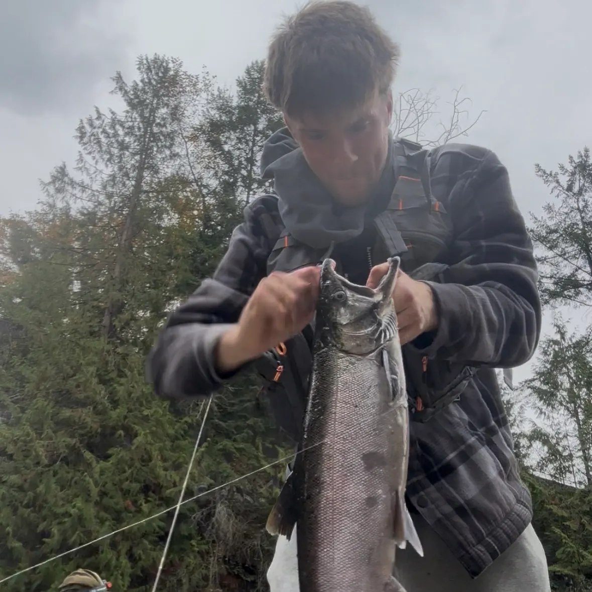 Coho salmon caught on Fishbrain