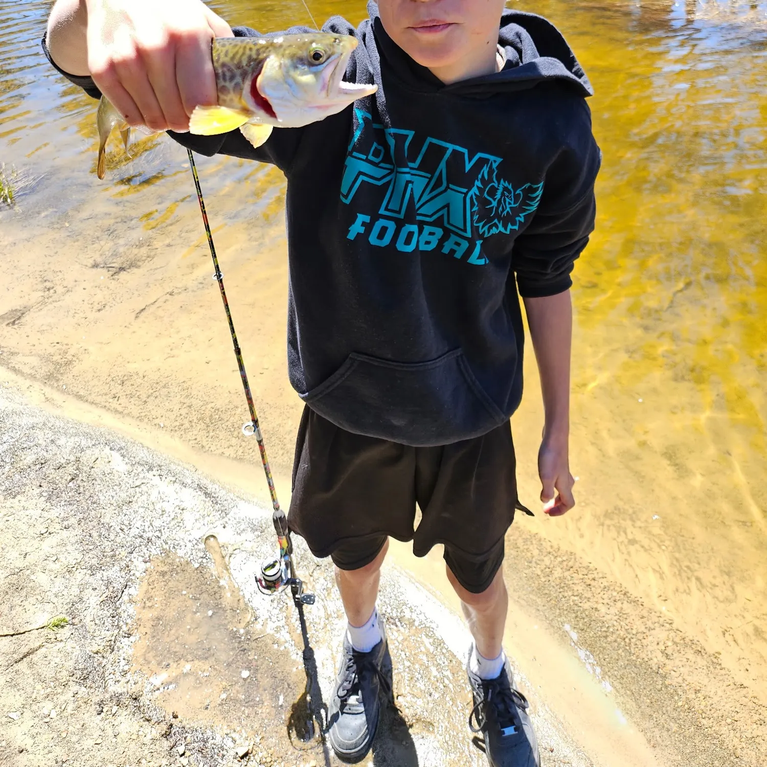most liked catch image