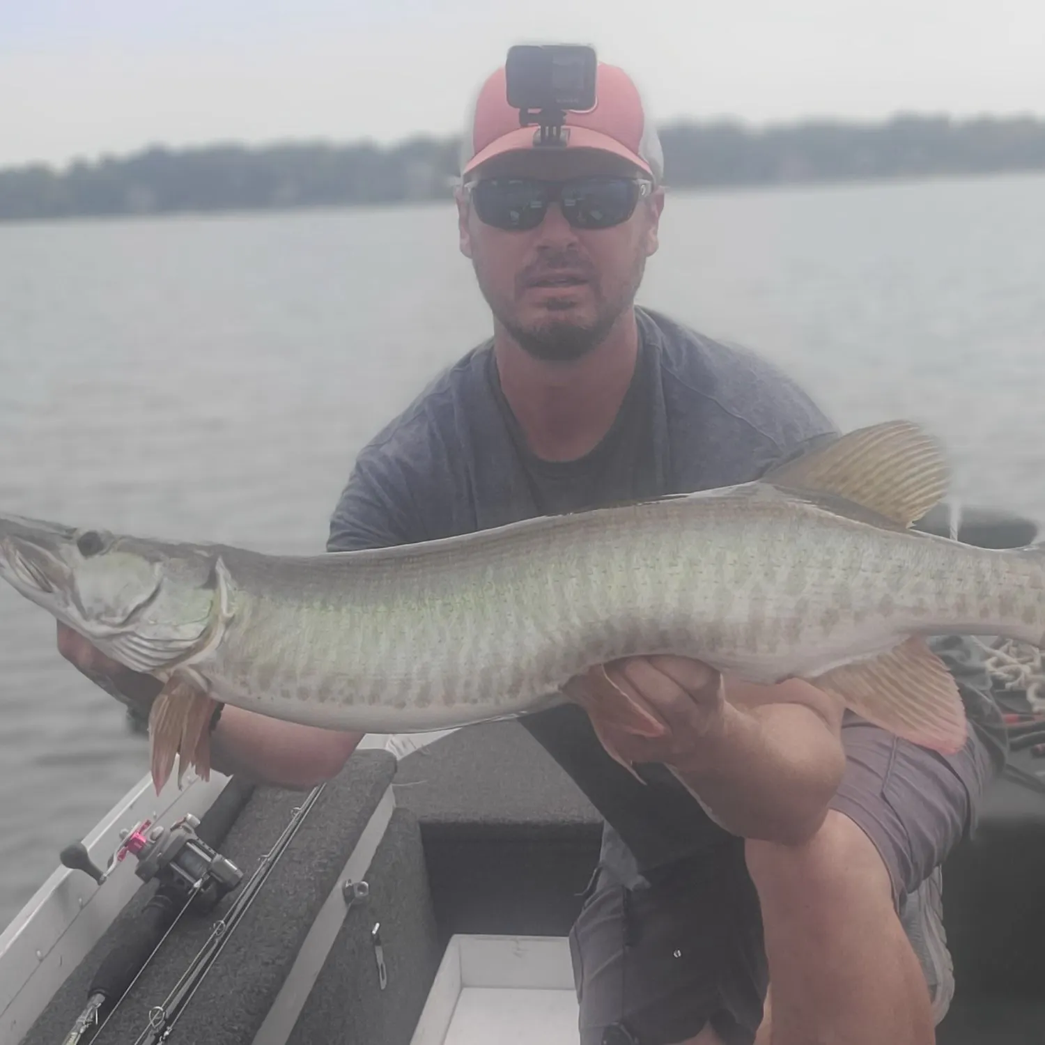 Muskie caught on Fishbrain