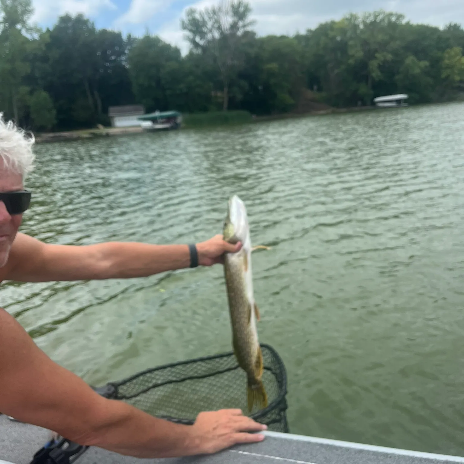 The most recent Northern pike catches on Fishbrain