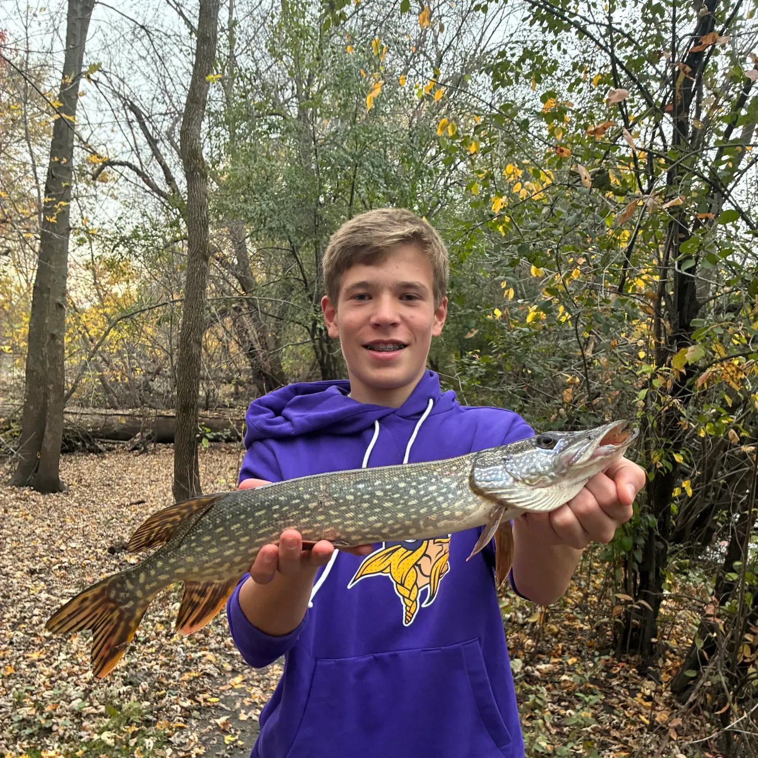 Northern pike caught on Fishbrain