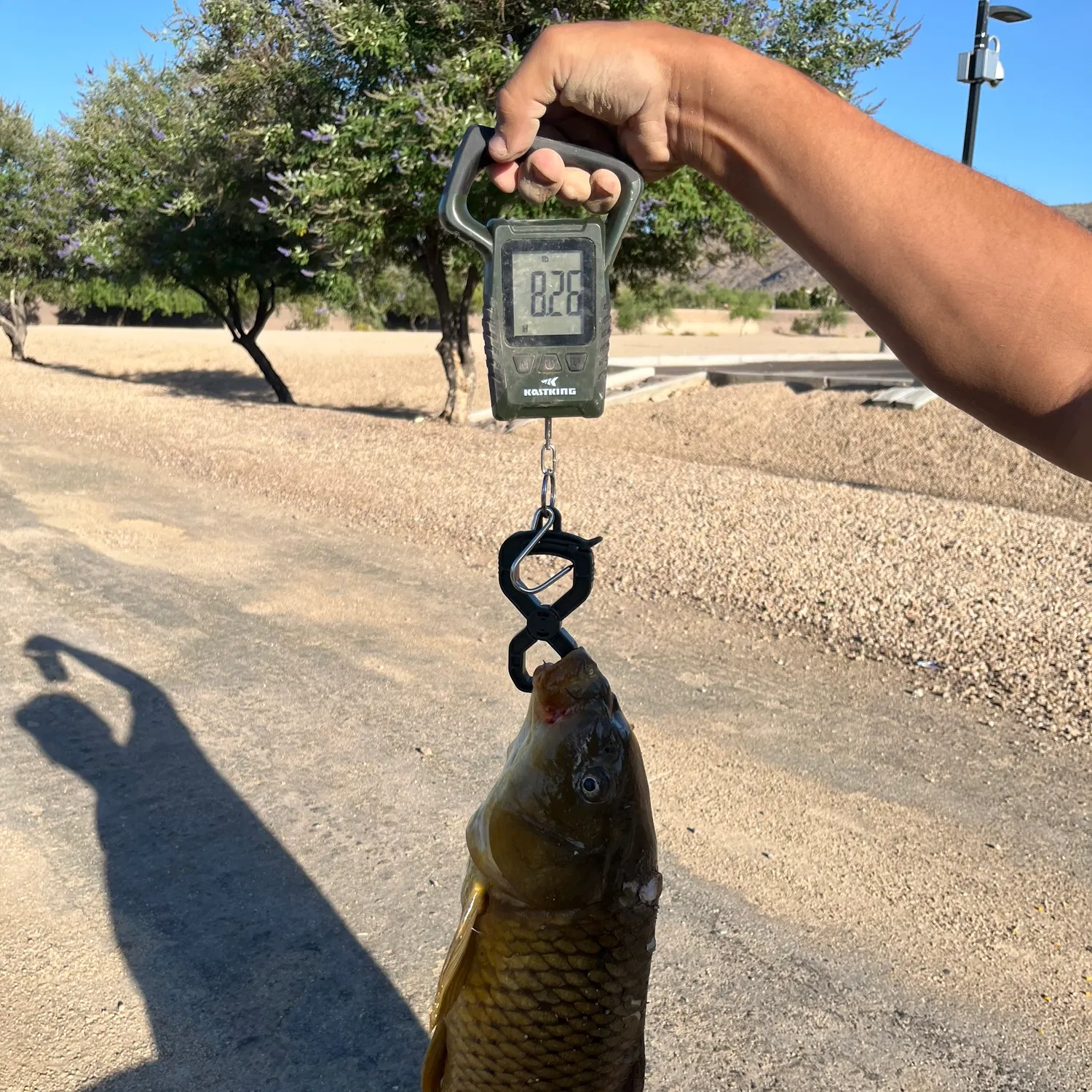 catch