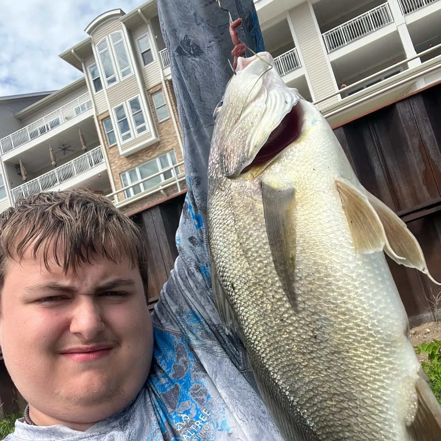 most liked catch image