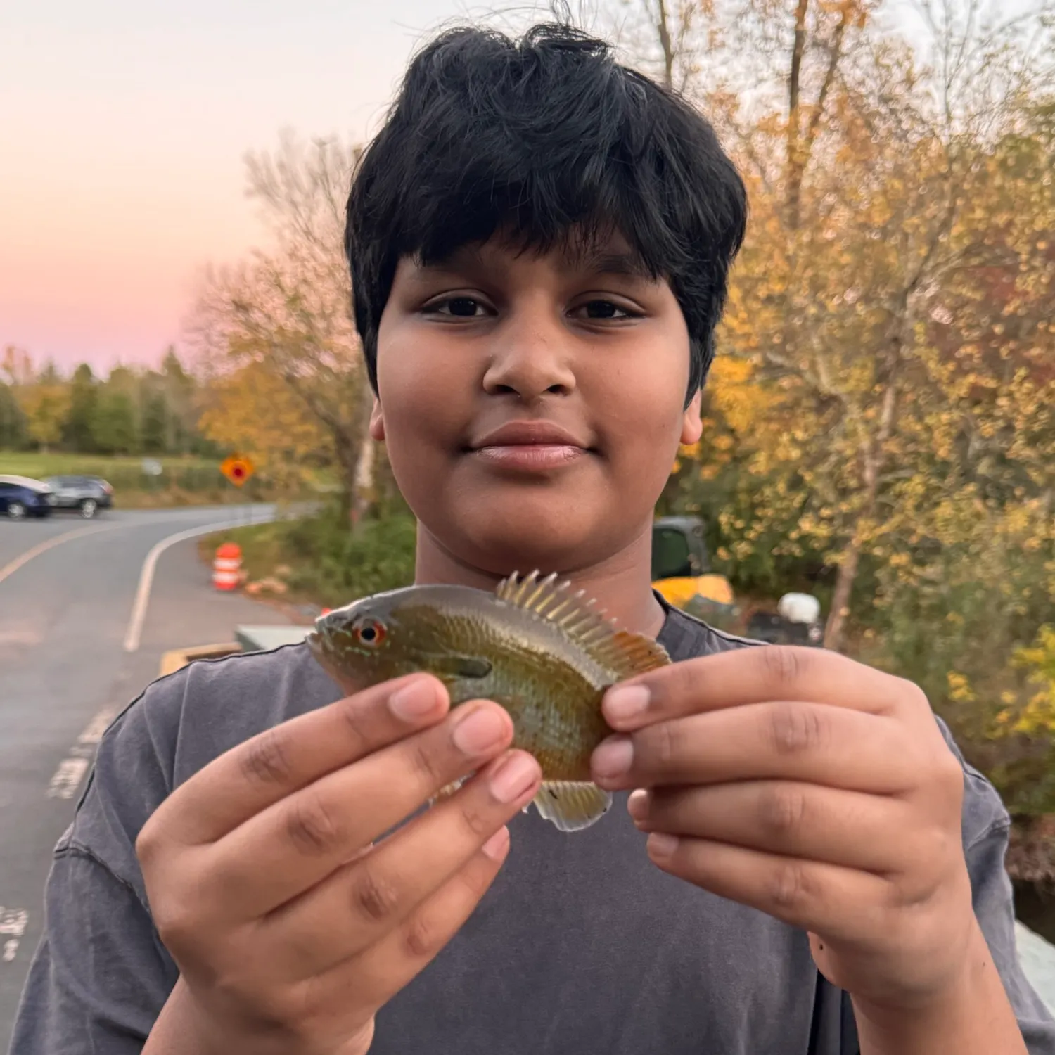 Redbreast sunfish caught on Fishbrain