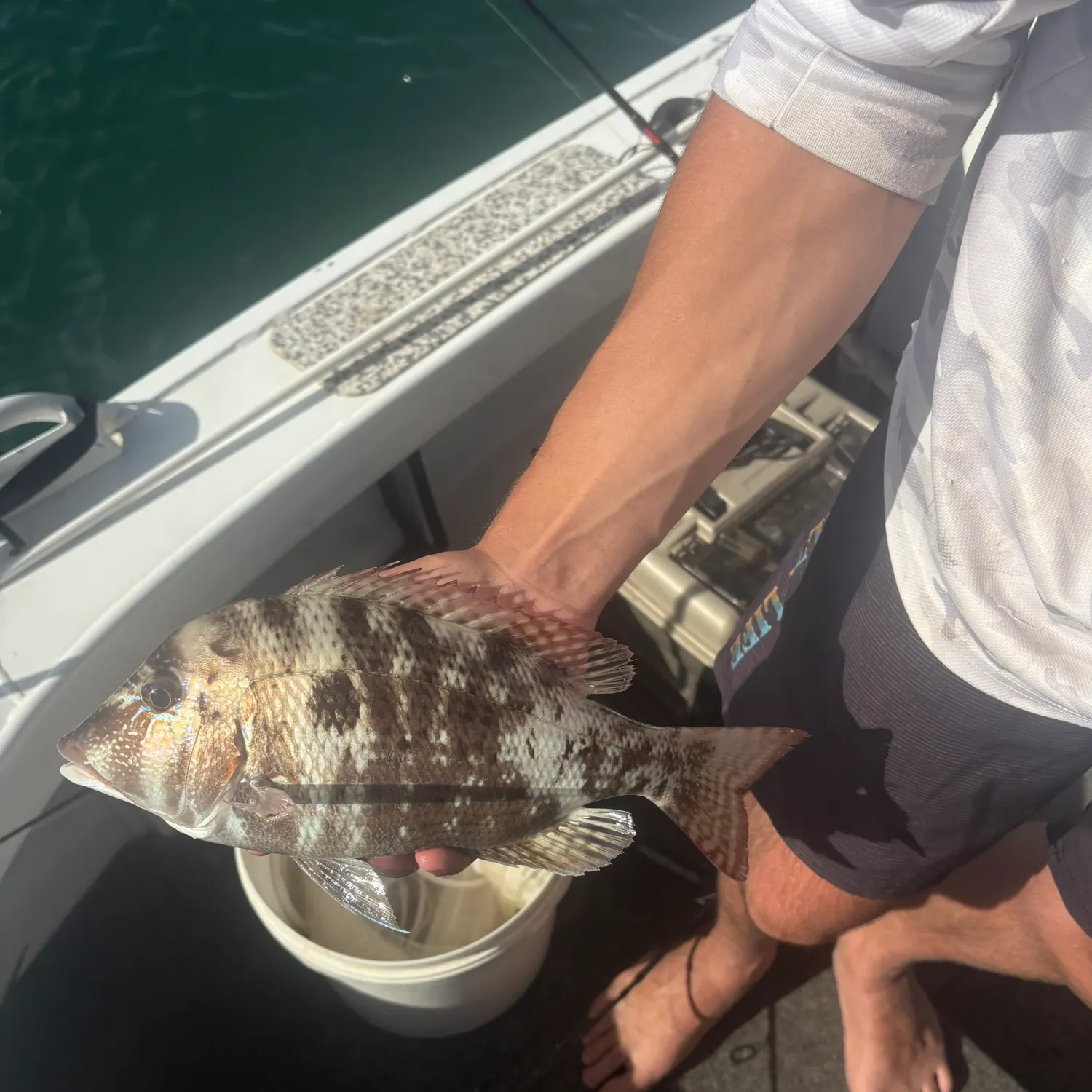 The most recent Grass emperor catches on Fishbrain