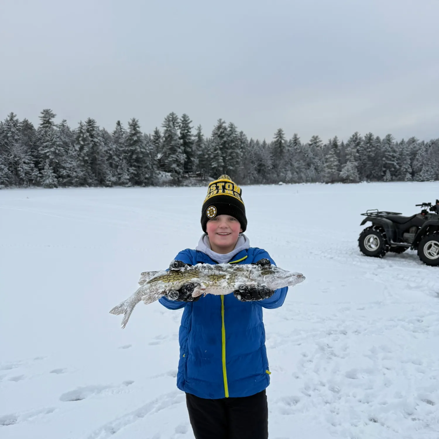 The most recent Chain pickerel catches on Fishbrain