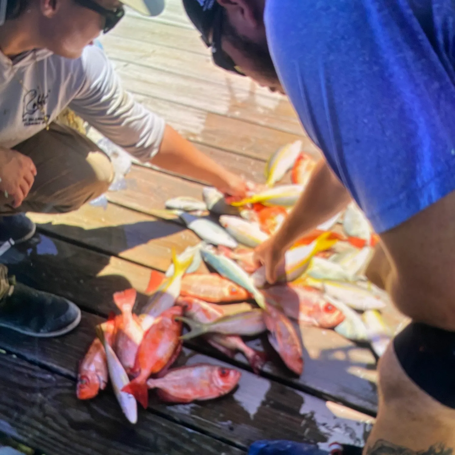 recently logged catches