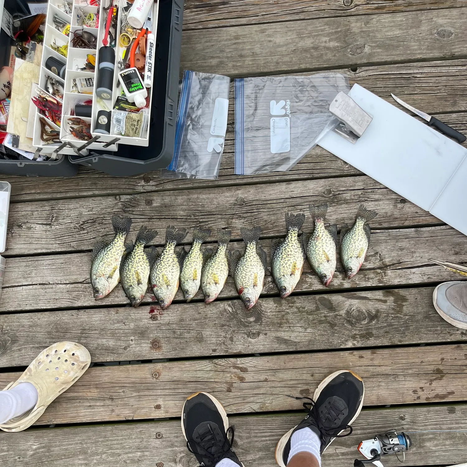 recently logged catches
