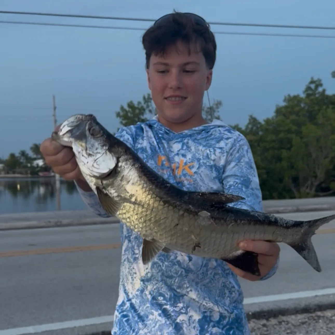 The most recent Tarpon catches on Fishbrain