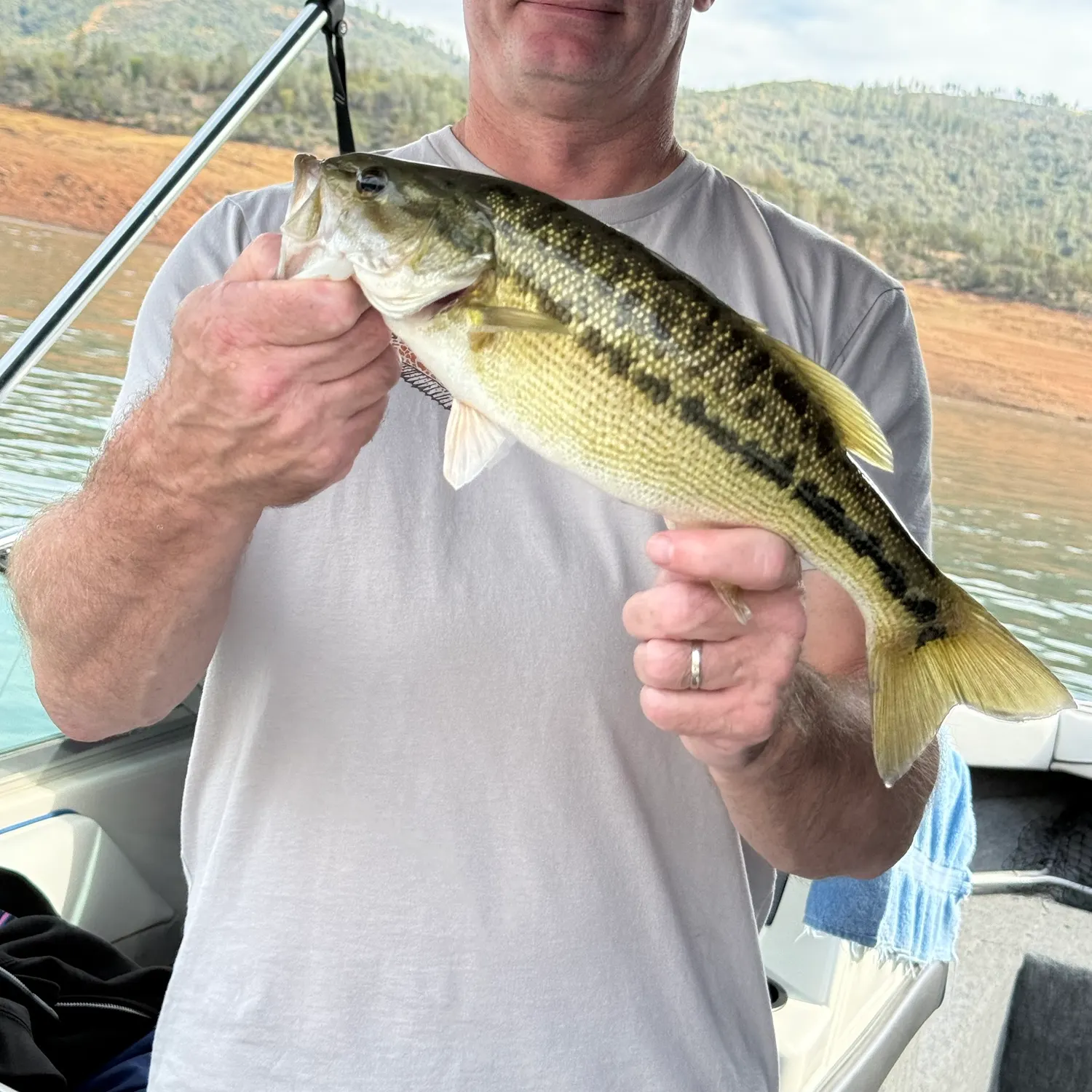 Spotted bass caught on Fishbrain