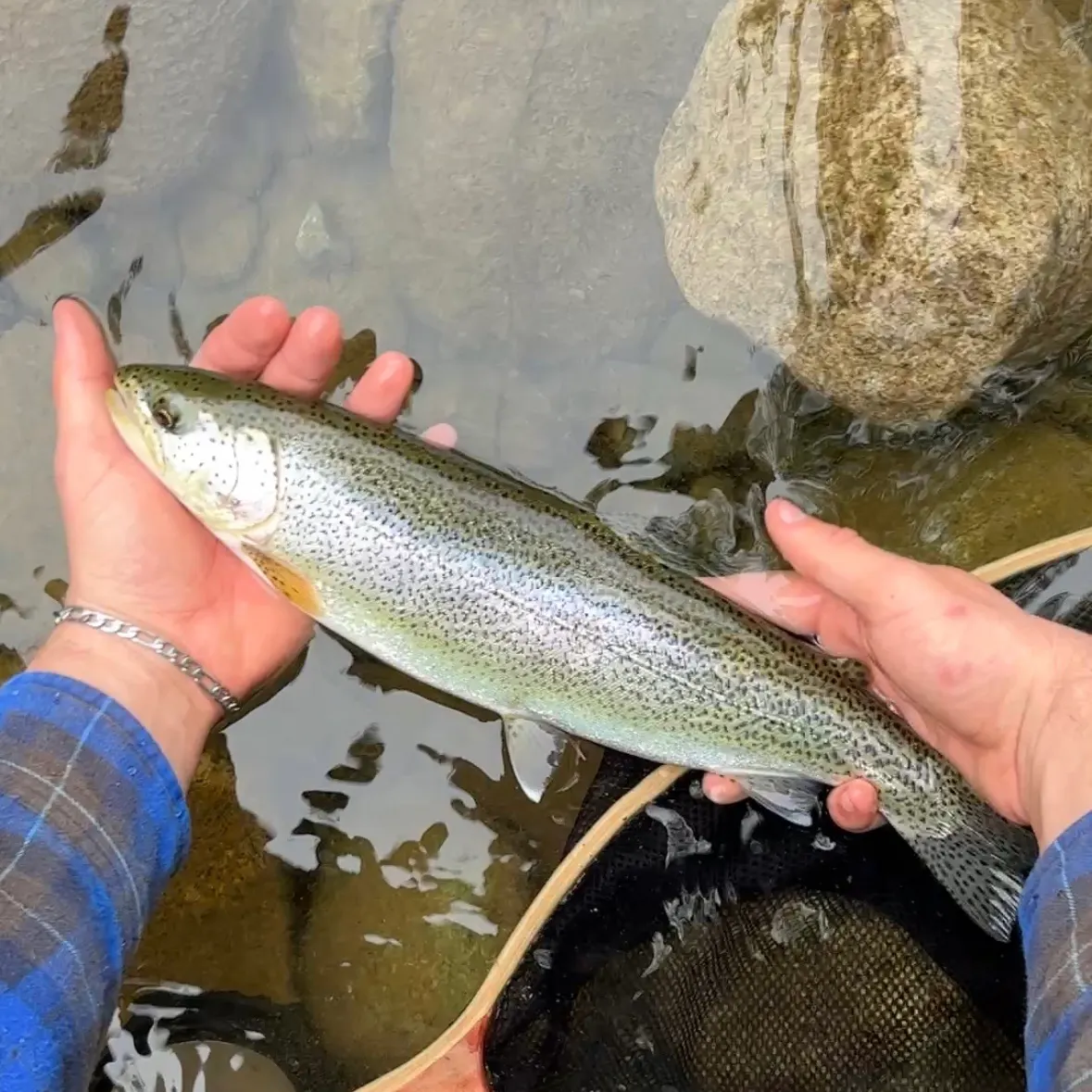 The most recent Coastal cutthroat trout catches on Fishbrain