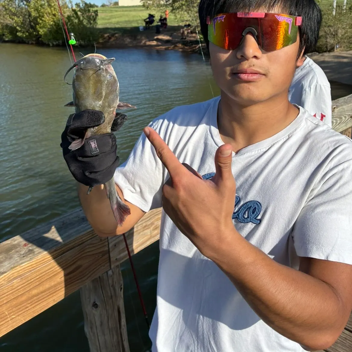Black bullhead caught on Fishbrain