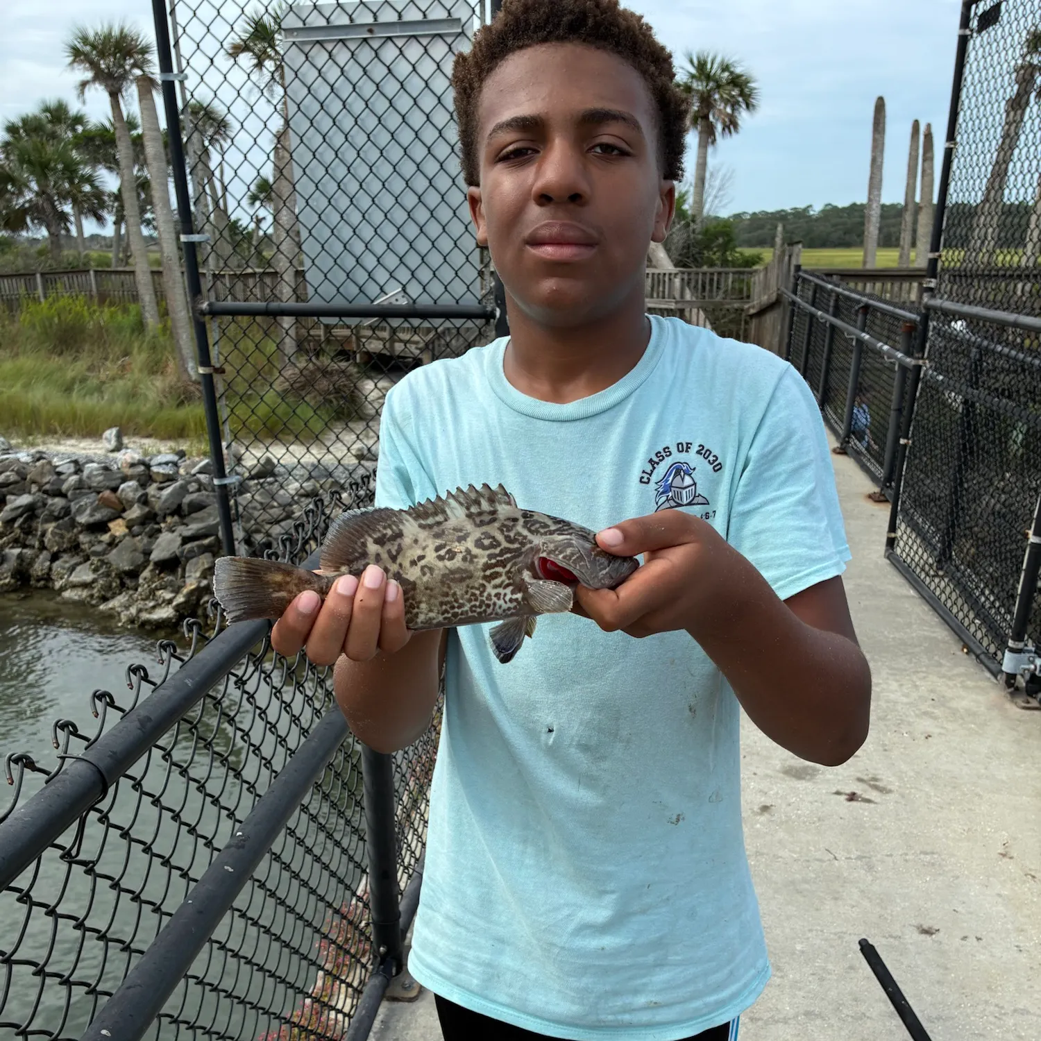 The most recent Gag grouper catches on Fishbrain