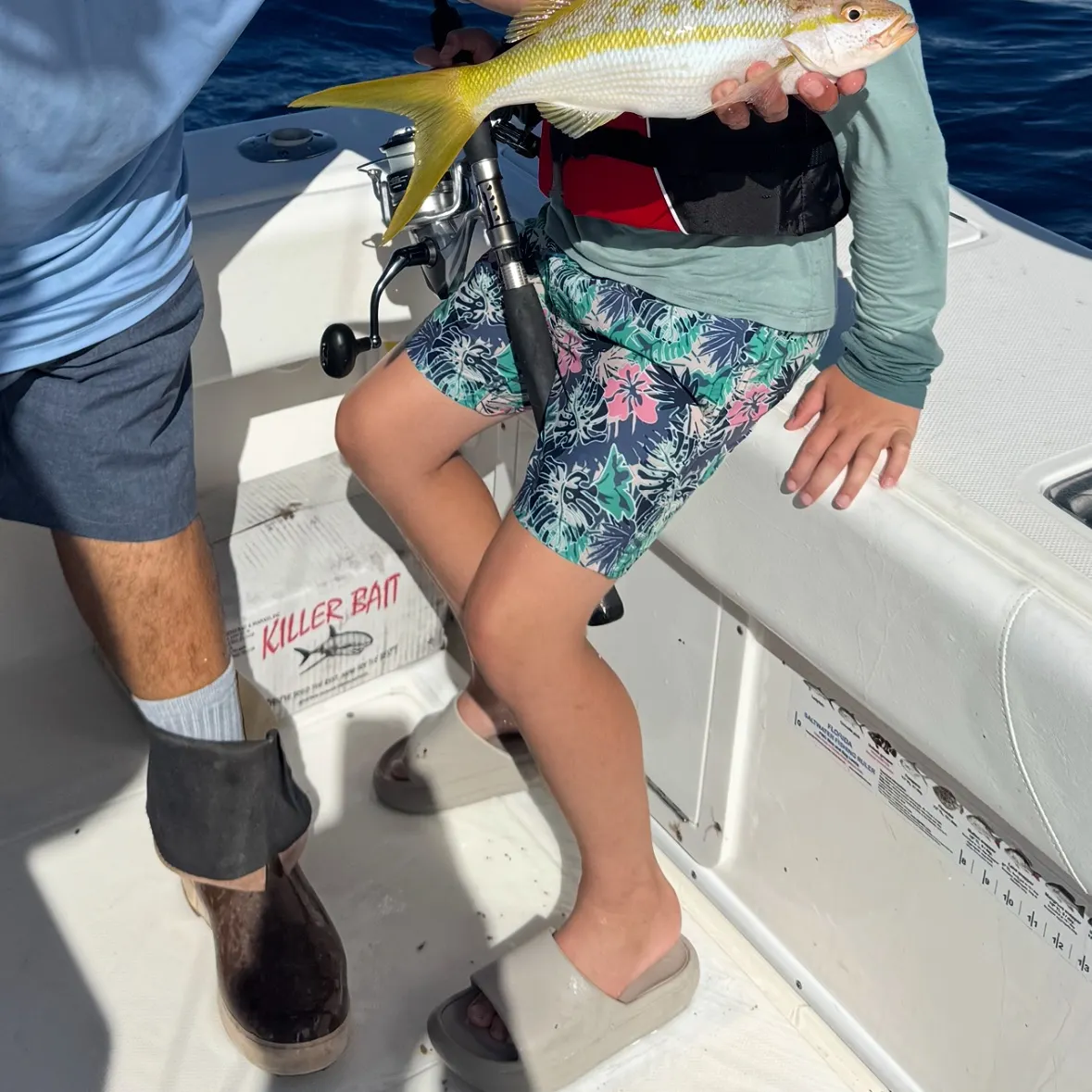 Yellowtail snapper caught on Fishbrain