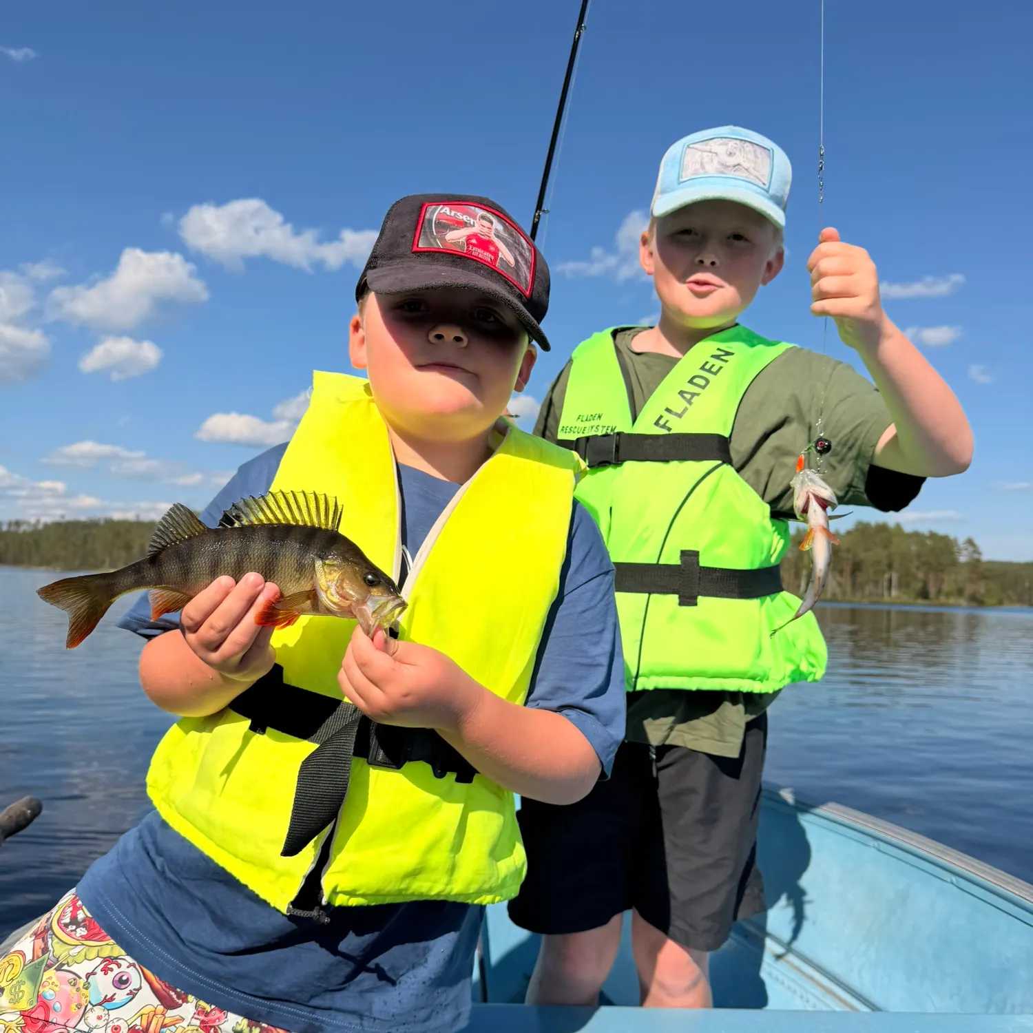 European perch caught on Fishbrain