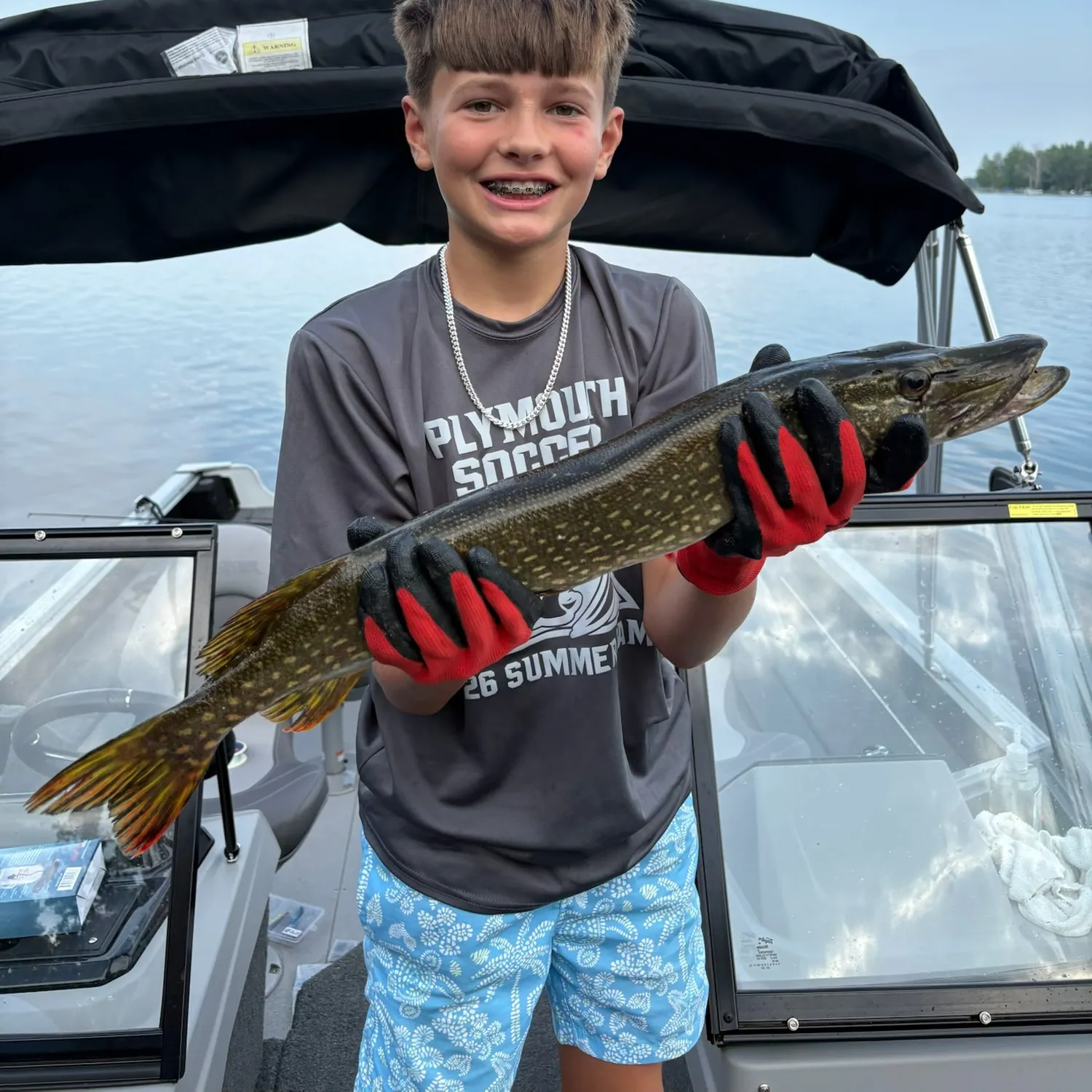 Northern pike caught on Fishbrain