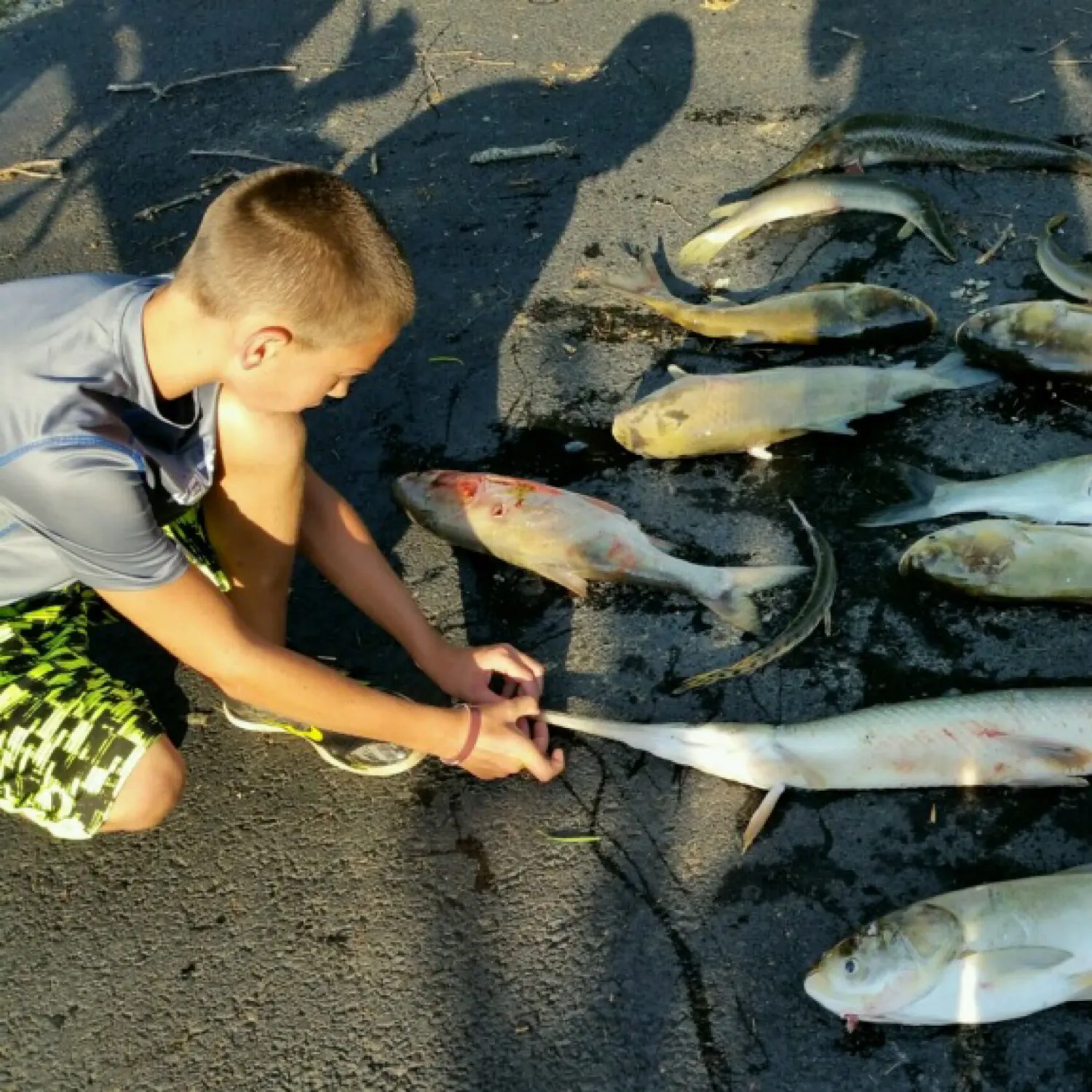 recently logged catches