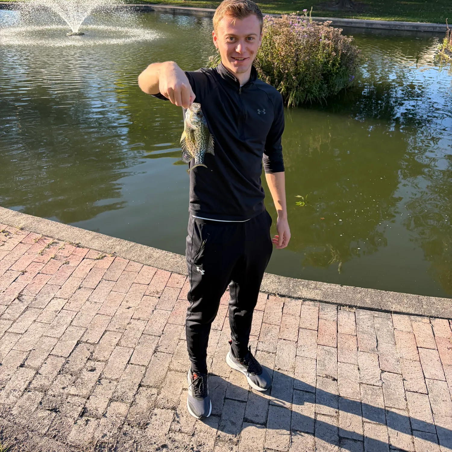 Black crappie caught on Fishbrain