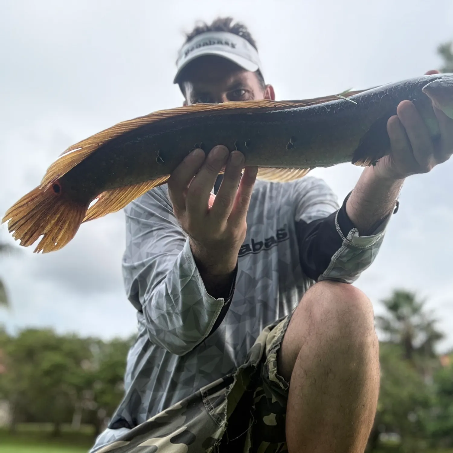 Bullseye snakehead caught on Fishbrain