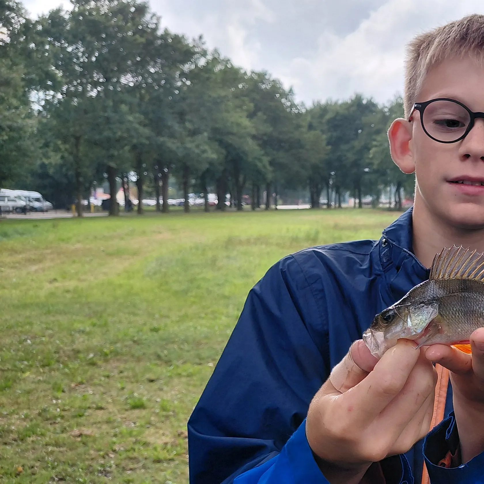 European perch caught on Fishbrain