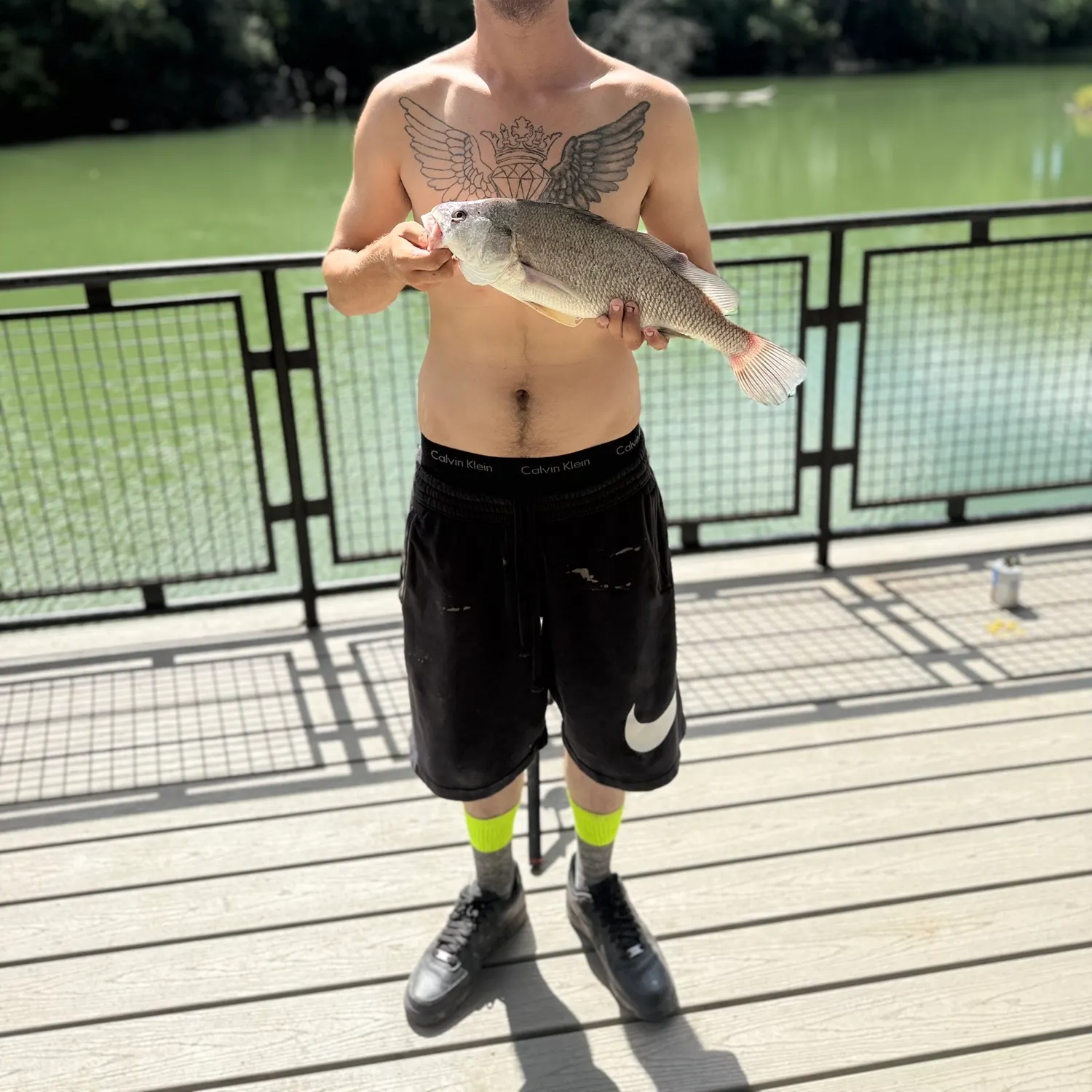 The most recent Freshwater drum catches on Fishbrain
