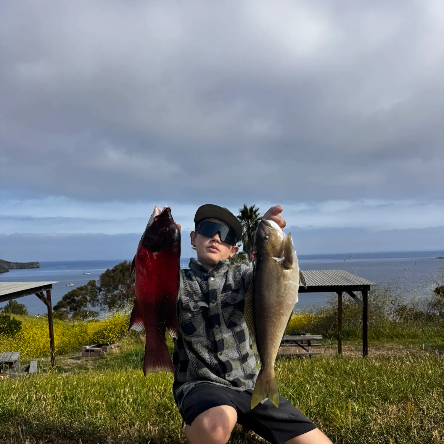 The most recent Ocean whitefish catches on Fishbrain