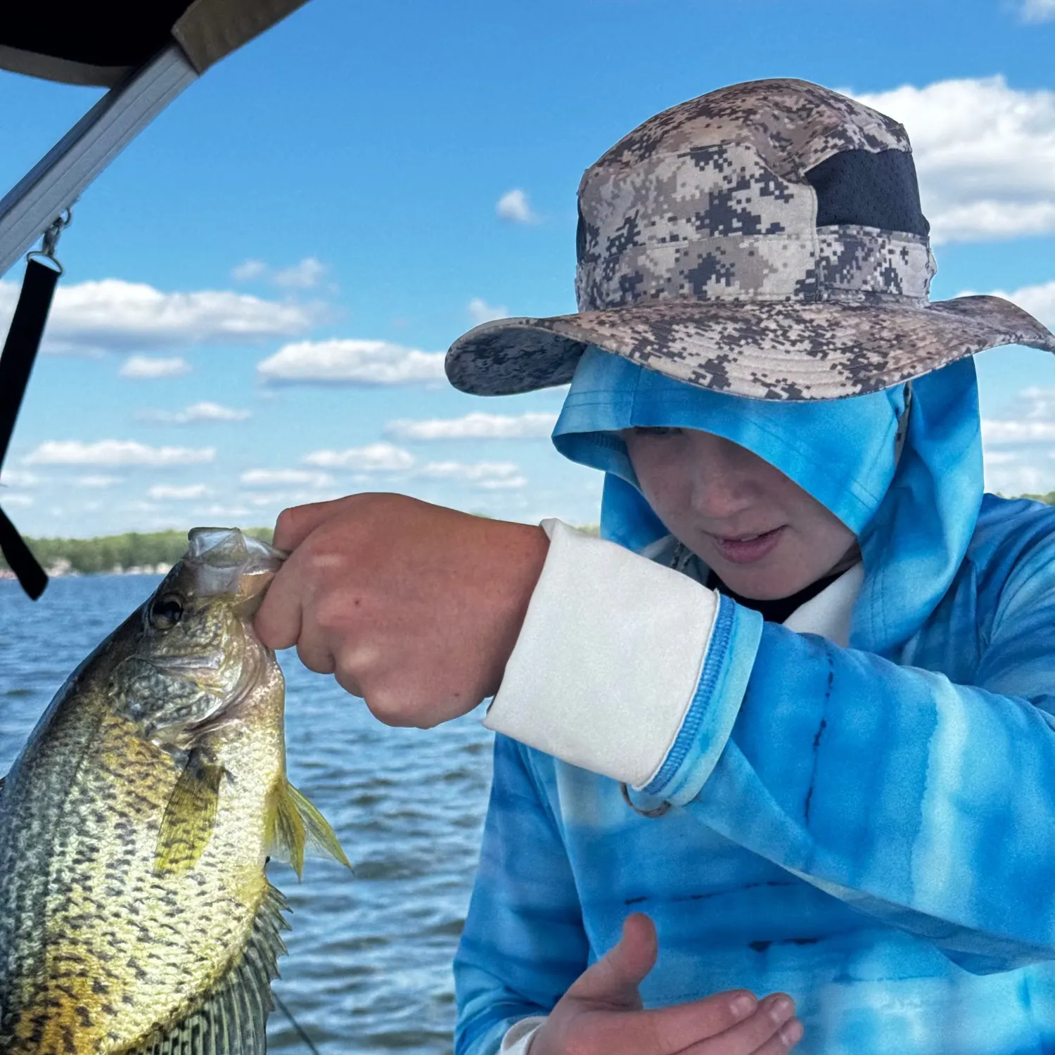 Black crappie caught on Fishbrain