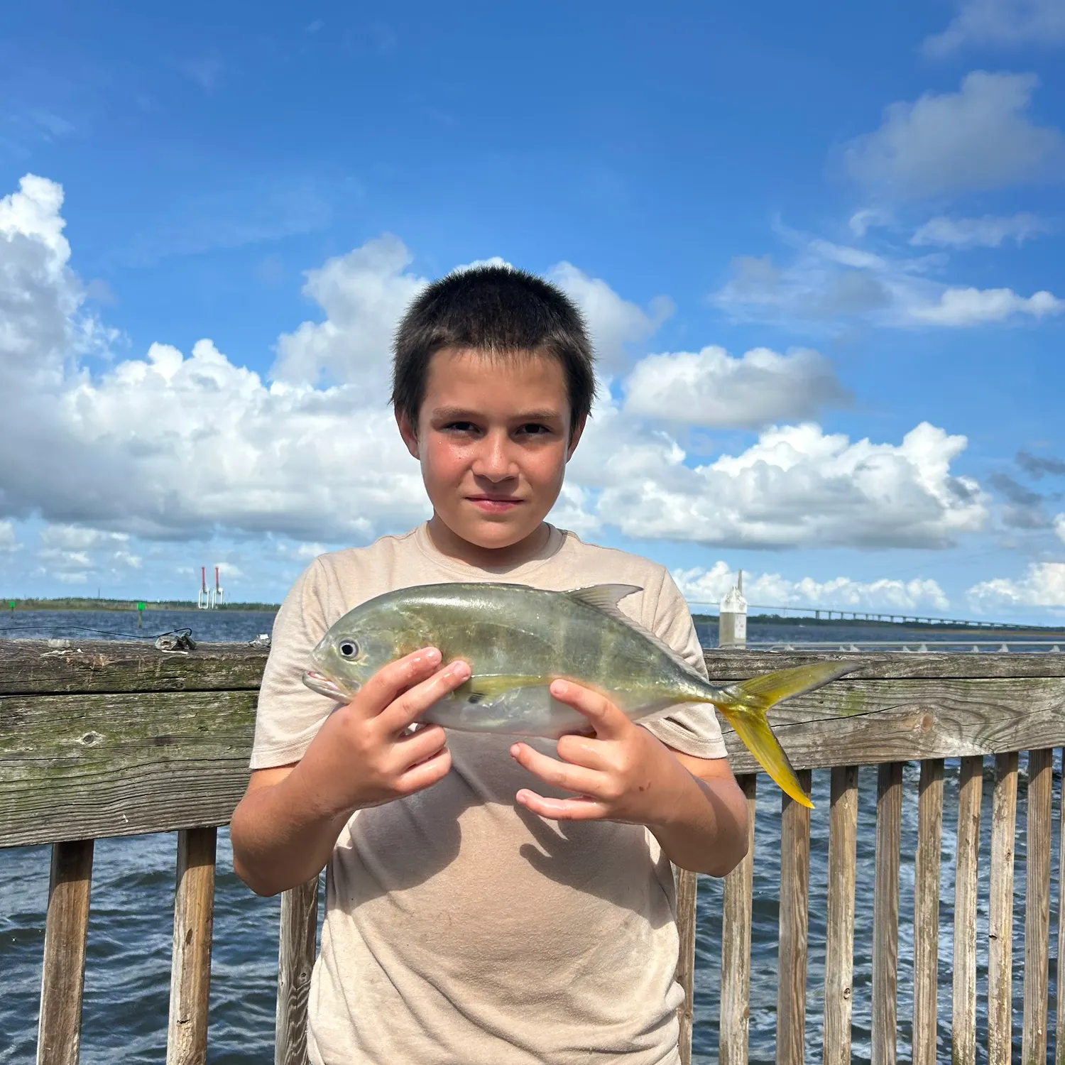 The most recent Crevalle jack catches on Fishbrain