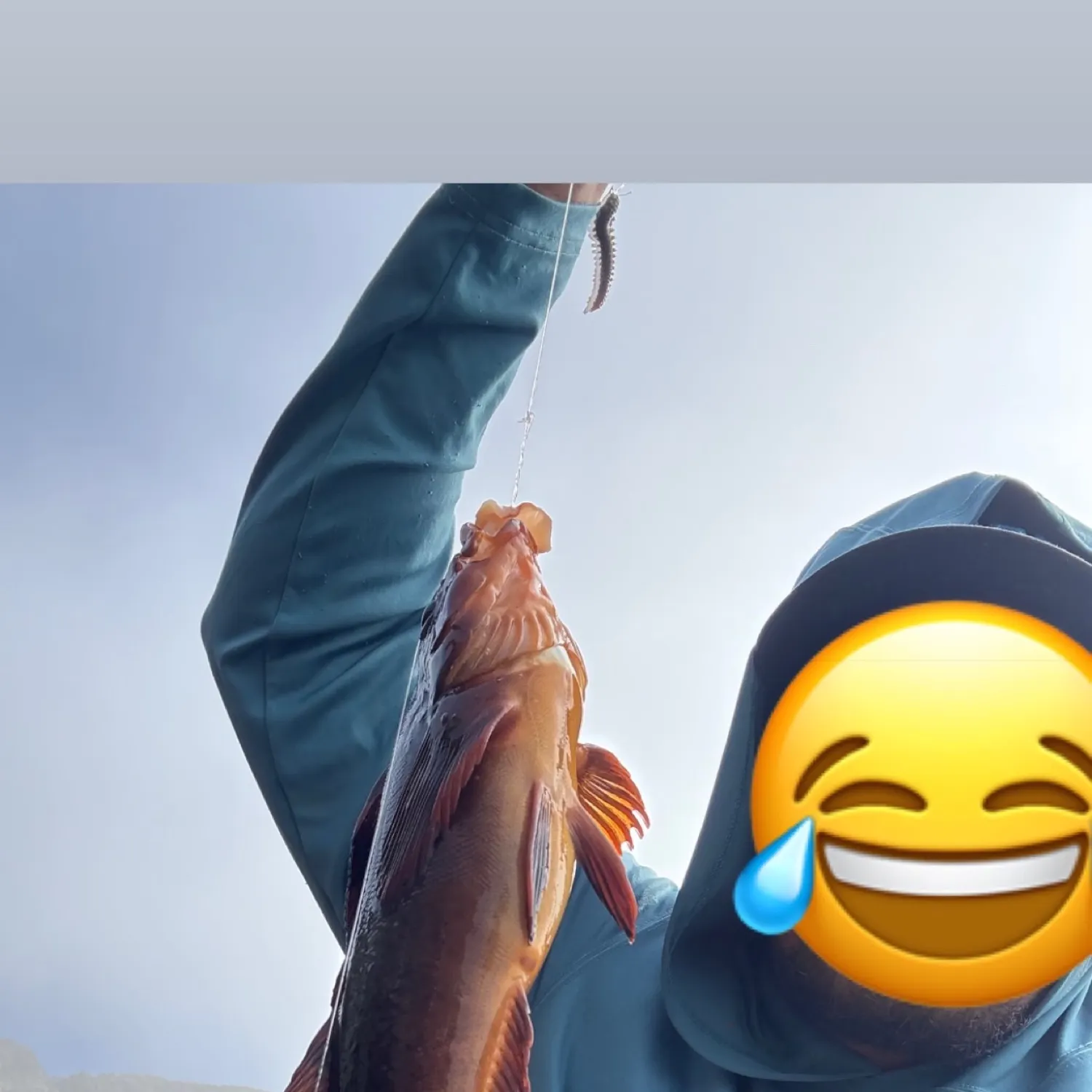 The most recent Rock greenling catches on Fishbrain