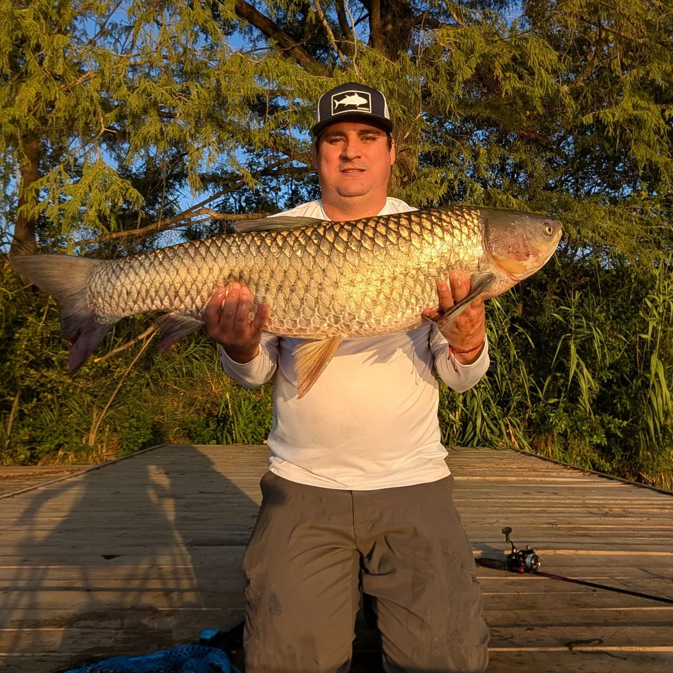Grass carp caught on Fishbrain