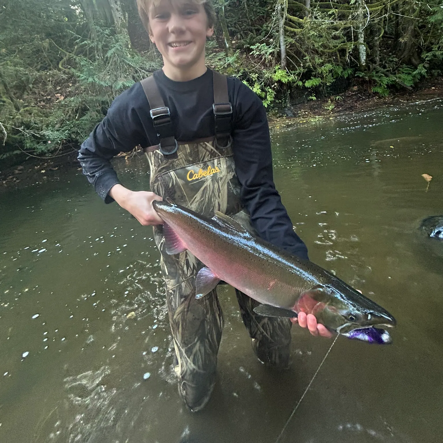 The most recent Coho salmon catches on Fishbrain