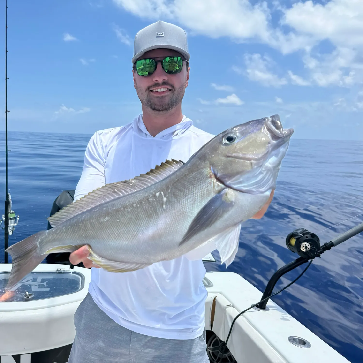 The most recent Grey tilefish catches on Fishbrain
