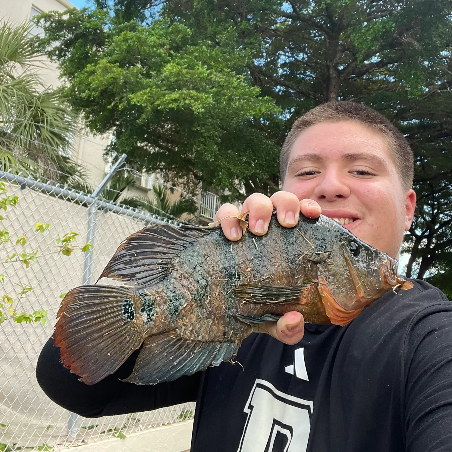 Mayan cichlid caught on Fishbrain