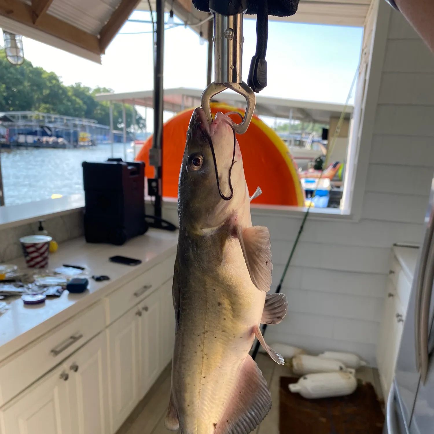 catch