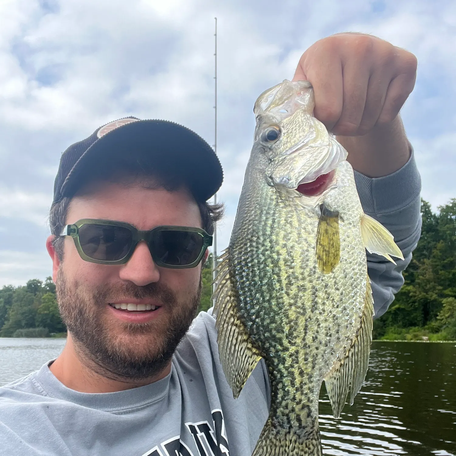 Black crappie caught on Fishbrain