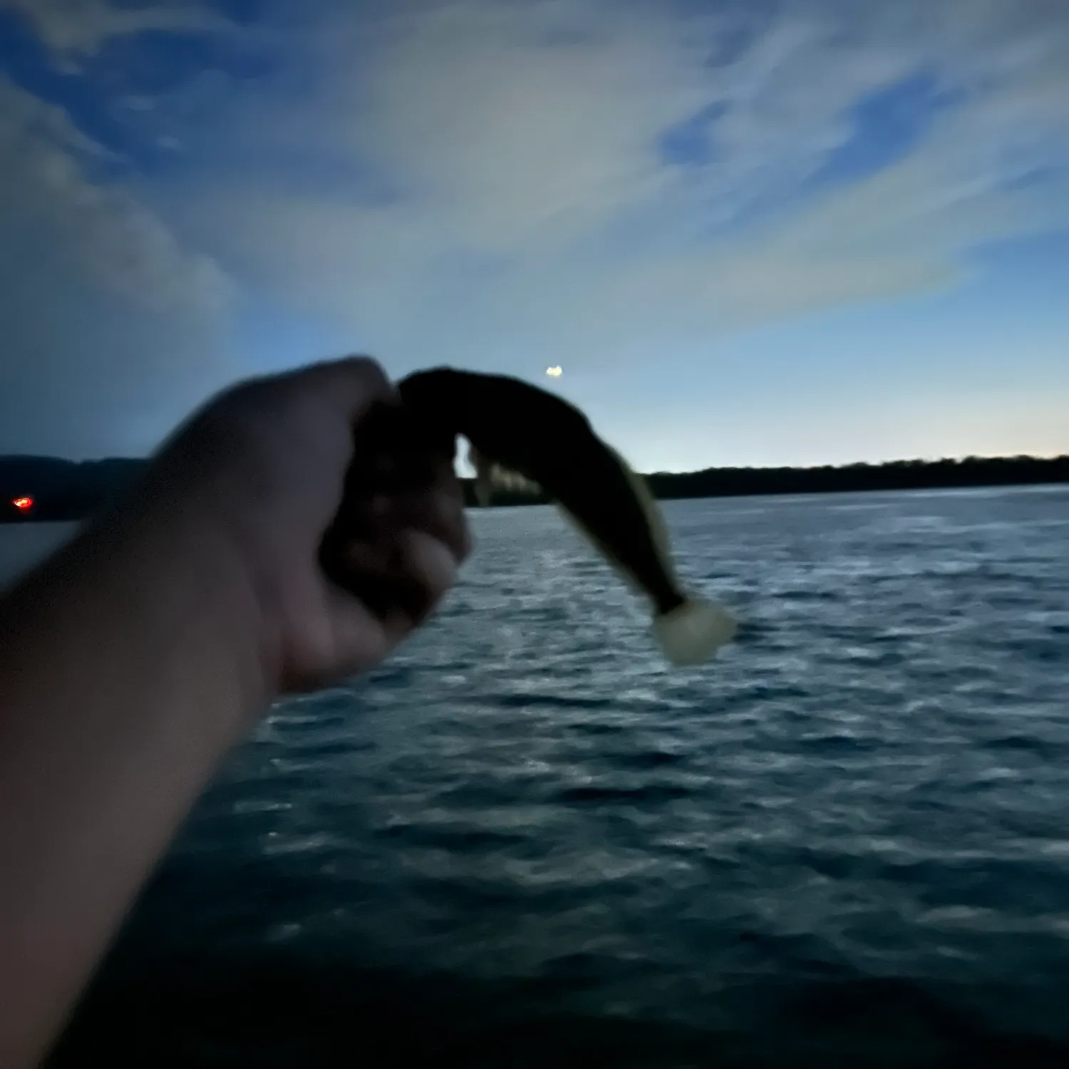 Prickly sculpin caught on Fishbrain