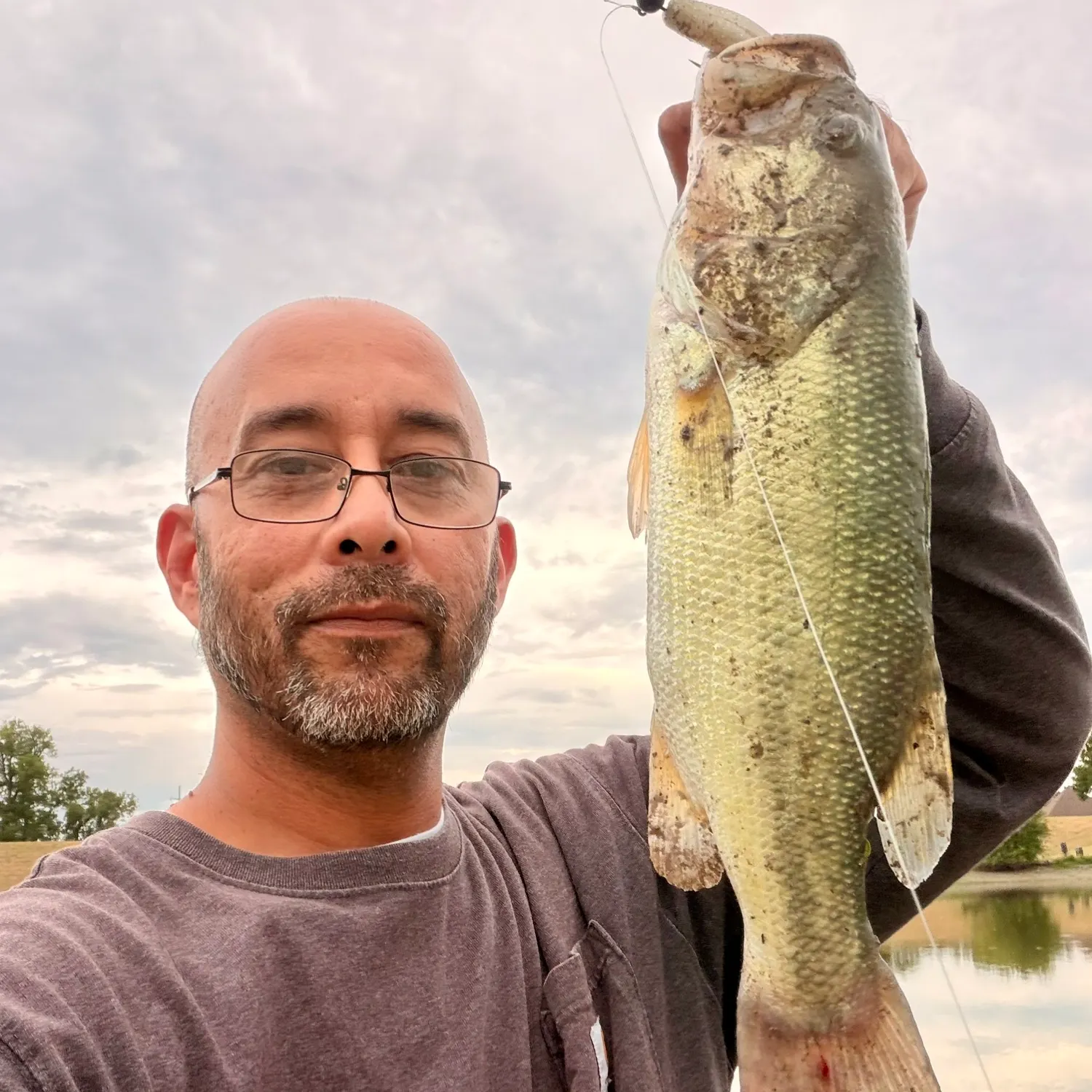 Largemouth bass caught on Fishbrain