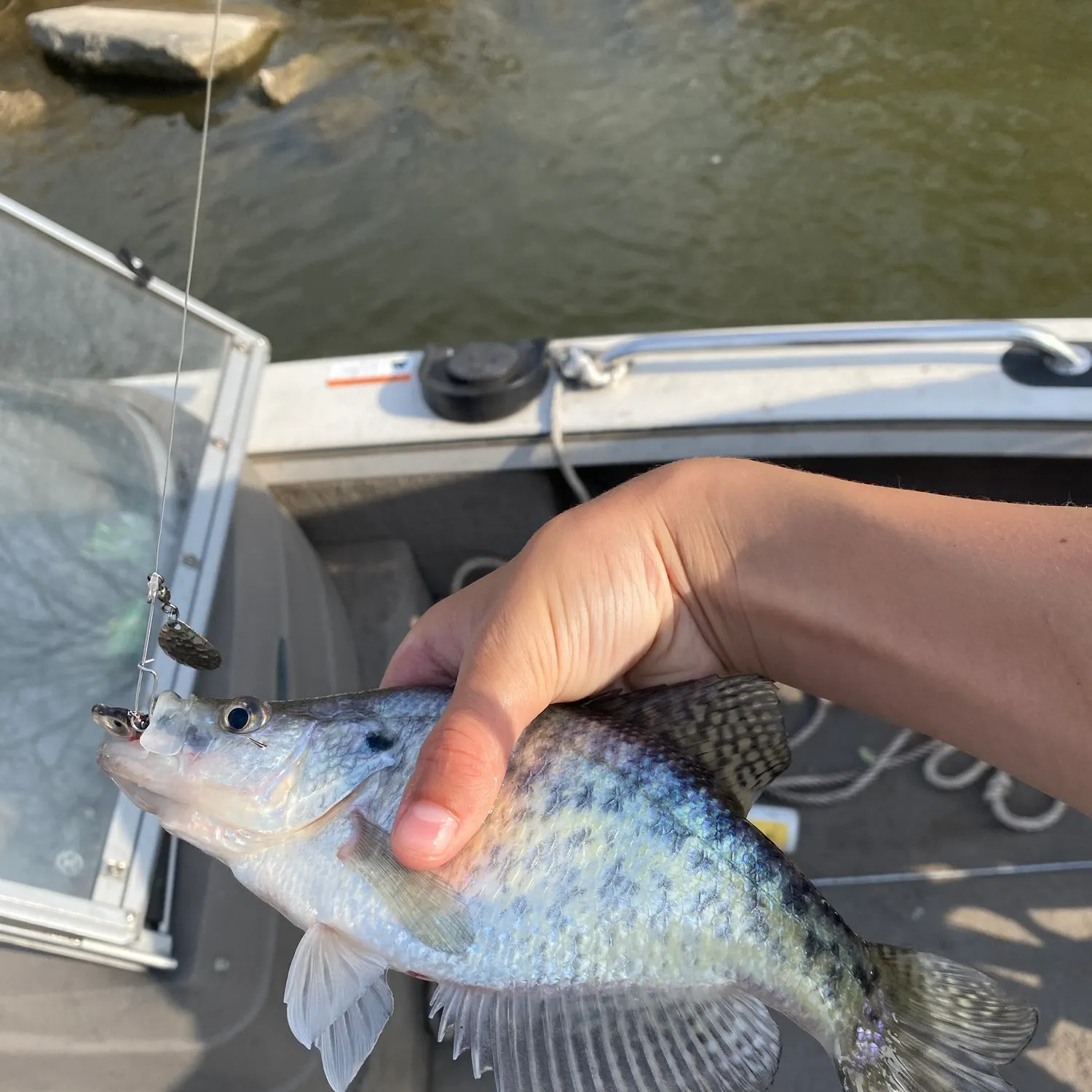 The most recent Walleye catches on Fishbrain