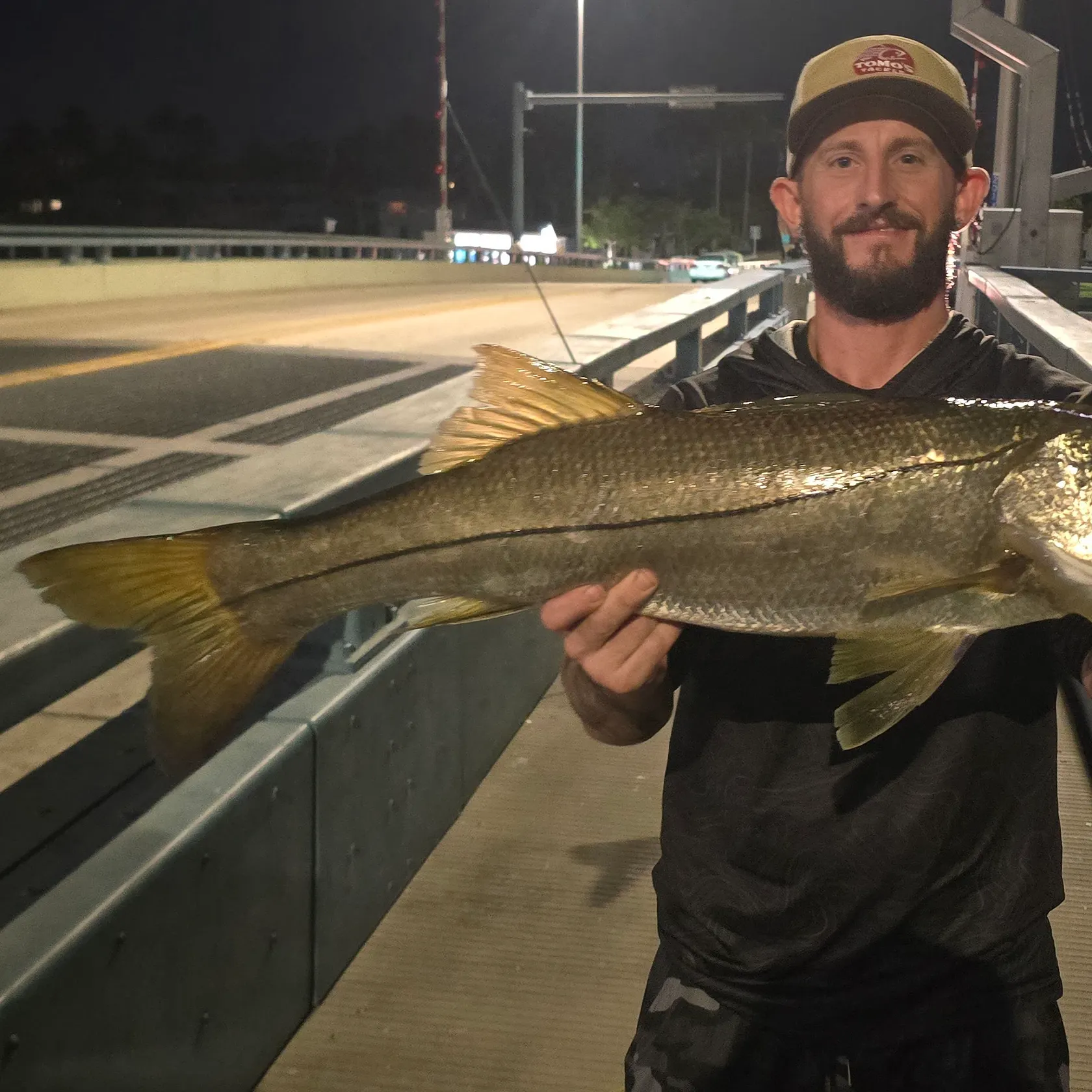 Common snook caught on Fishbrain