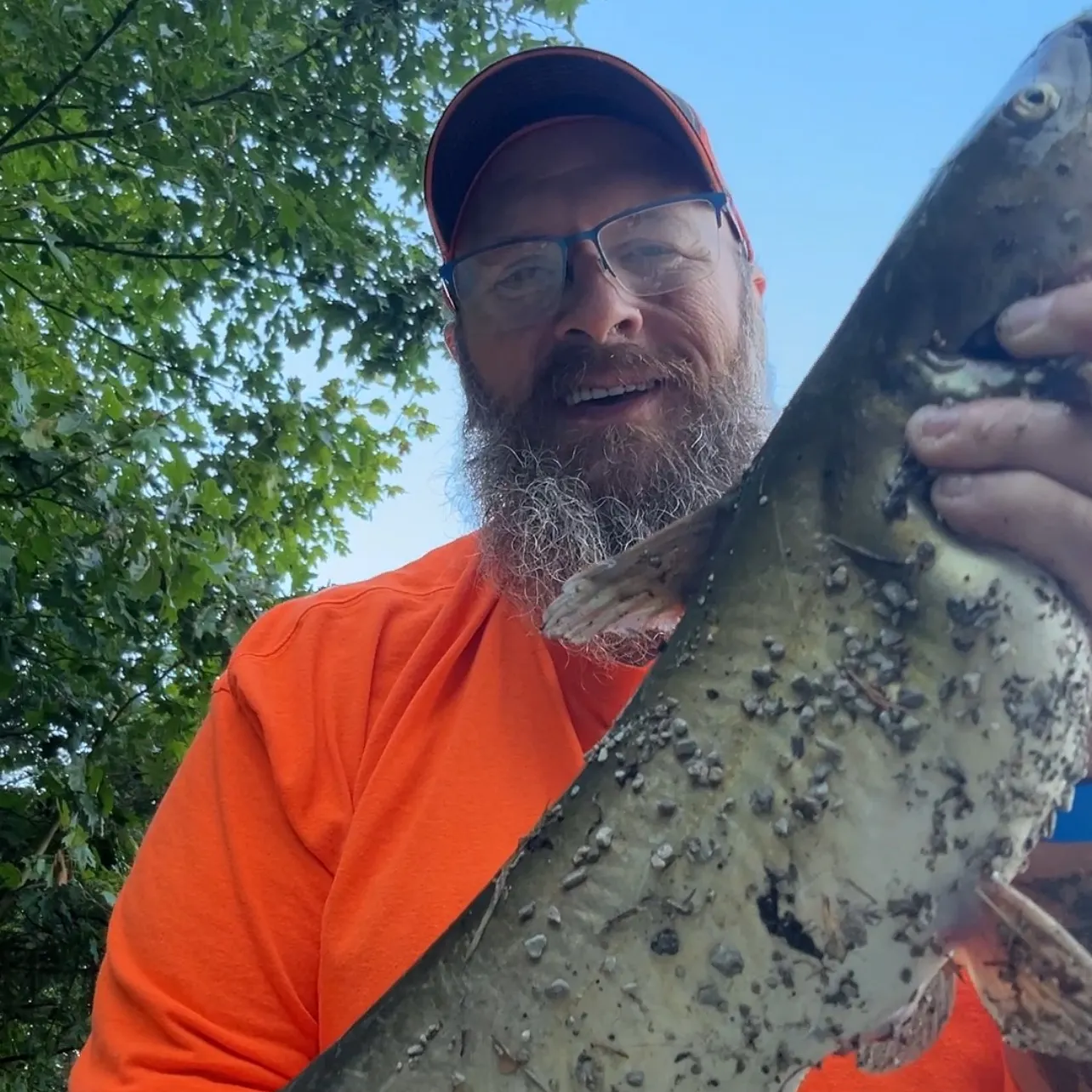 Channel catfish caught on Fishbrain