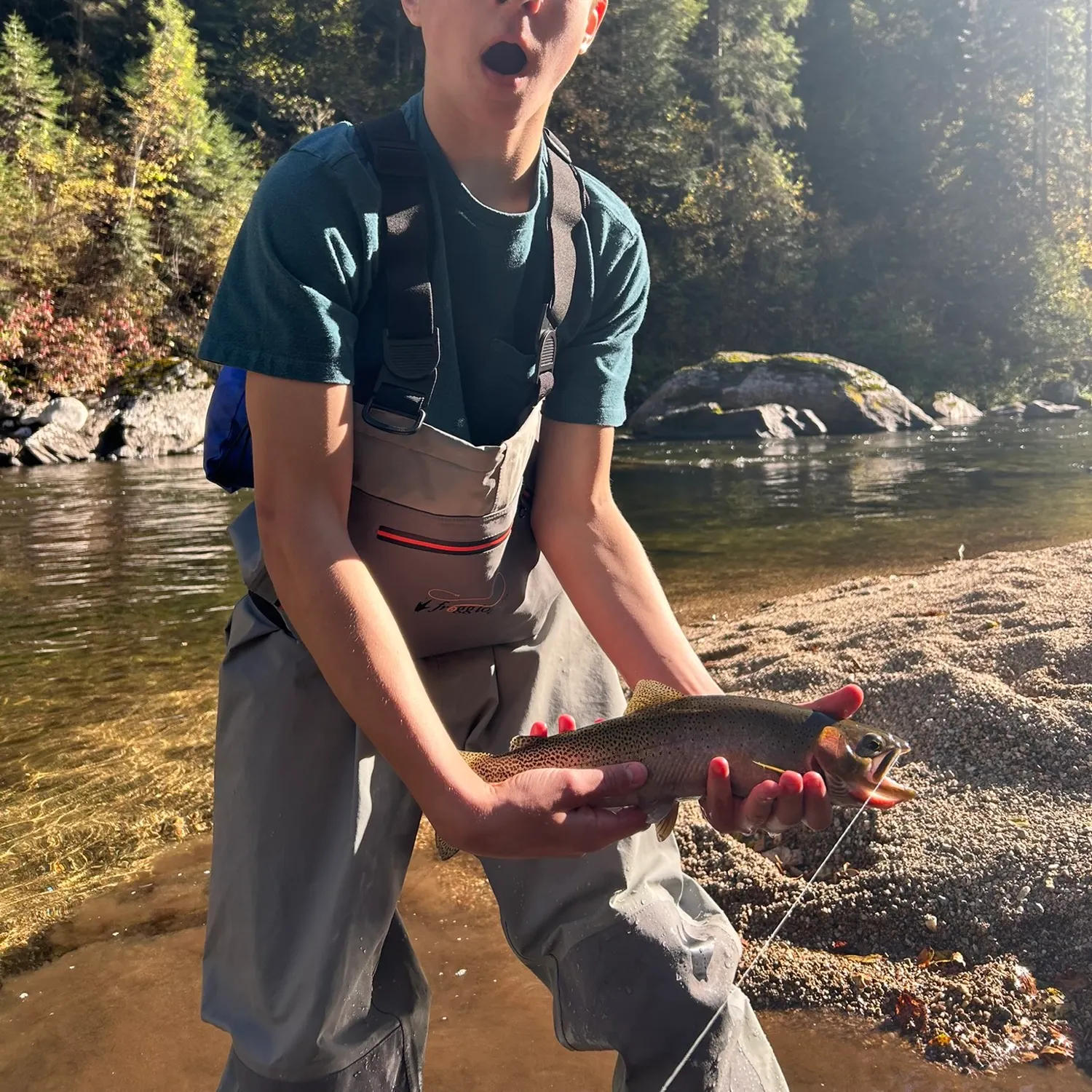 The most recent Westslope cutthroat trout catches on Fishbrain