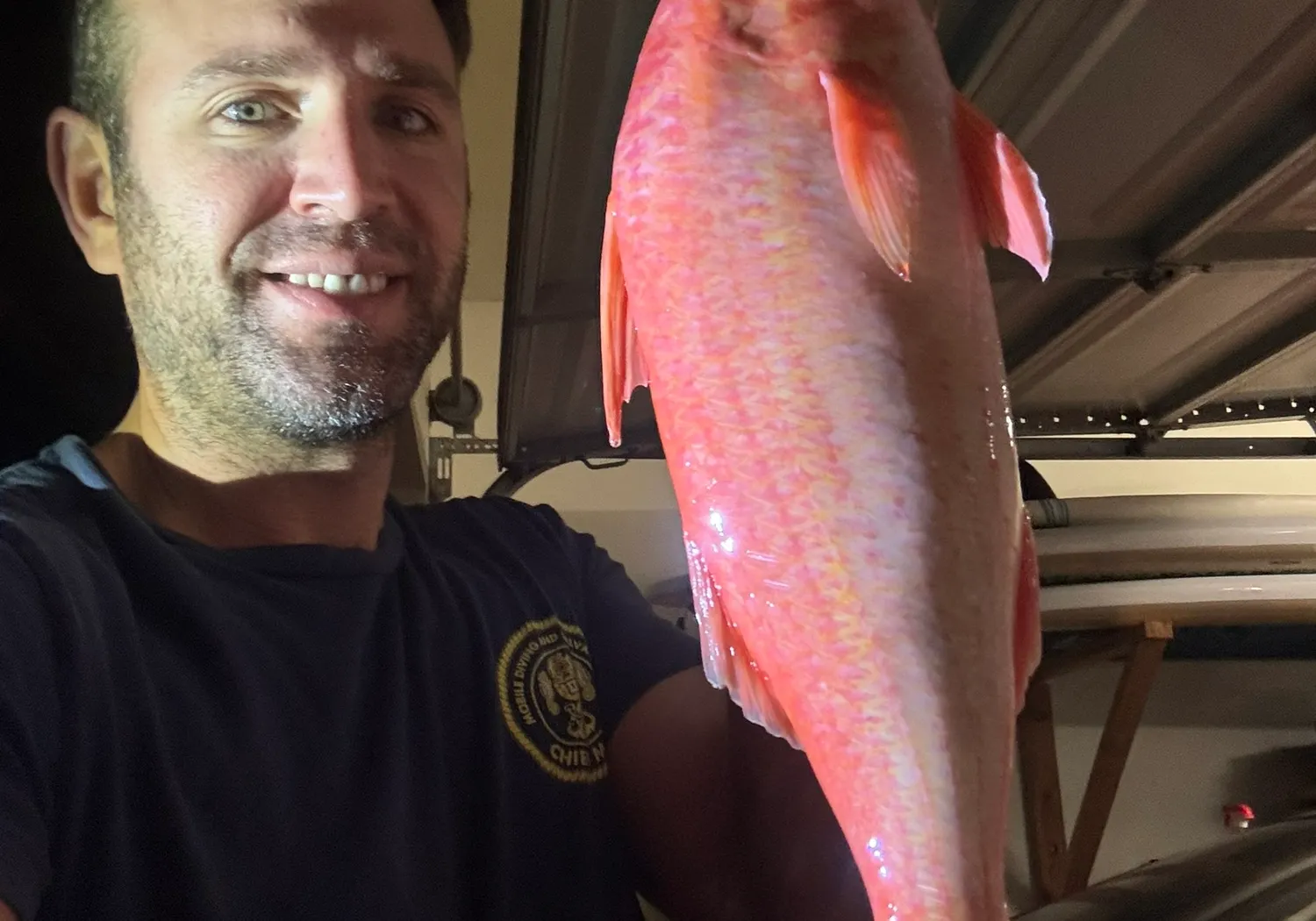 Orange goatfish