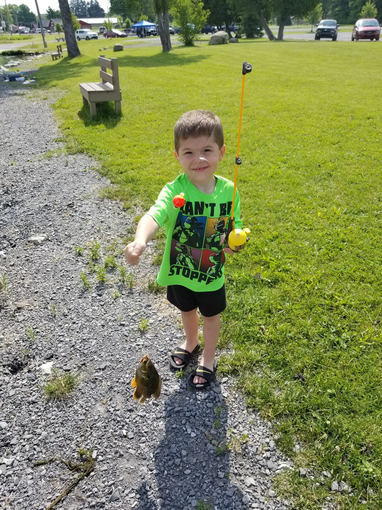 Post image from turtle918