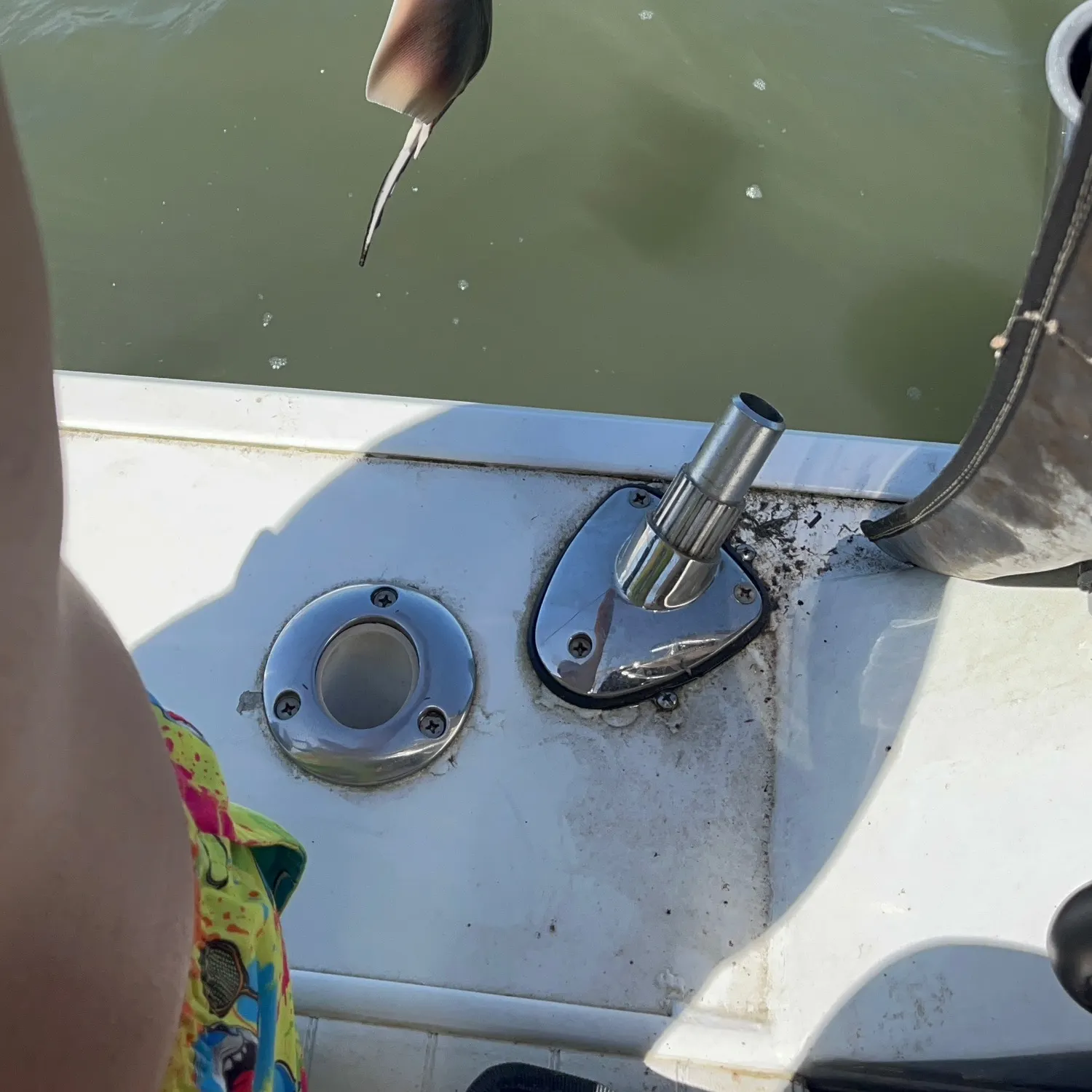 The most recent Short-tail stingray catches on Fishbrain