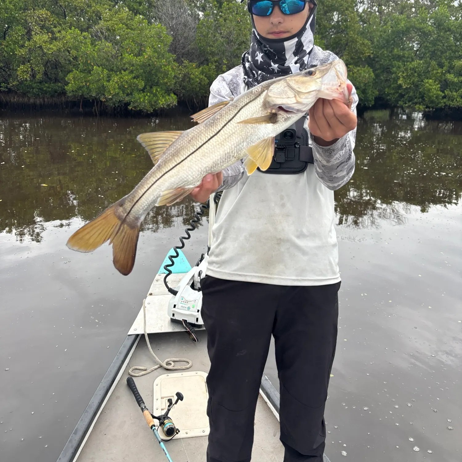 Common snook caught on Fishbrain