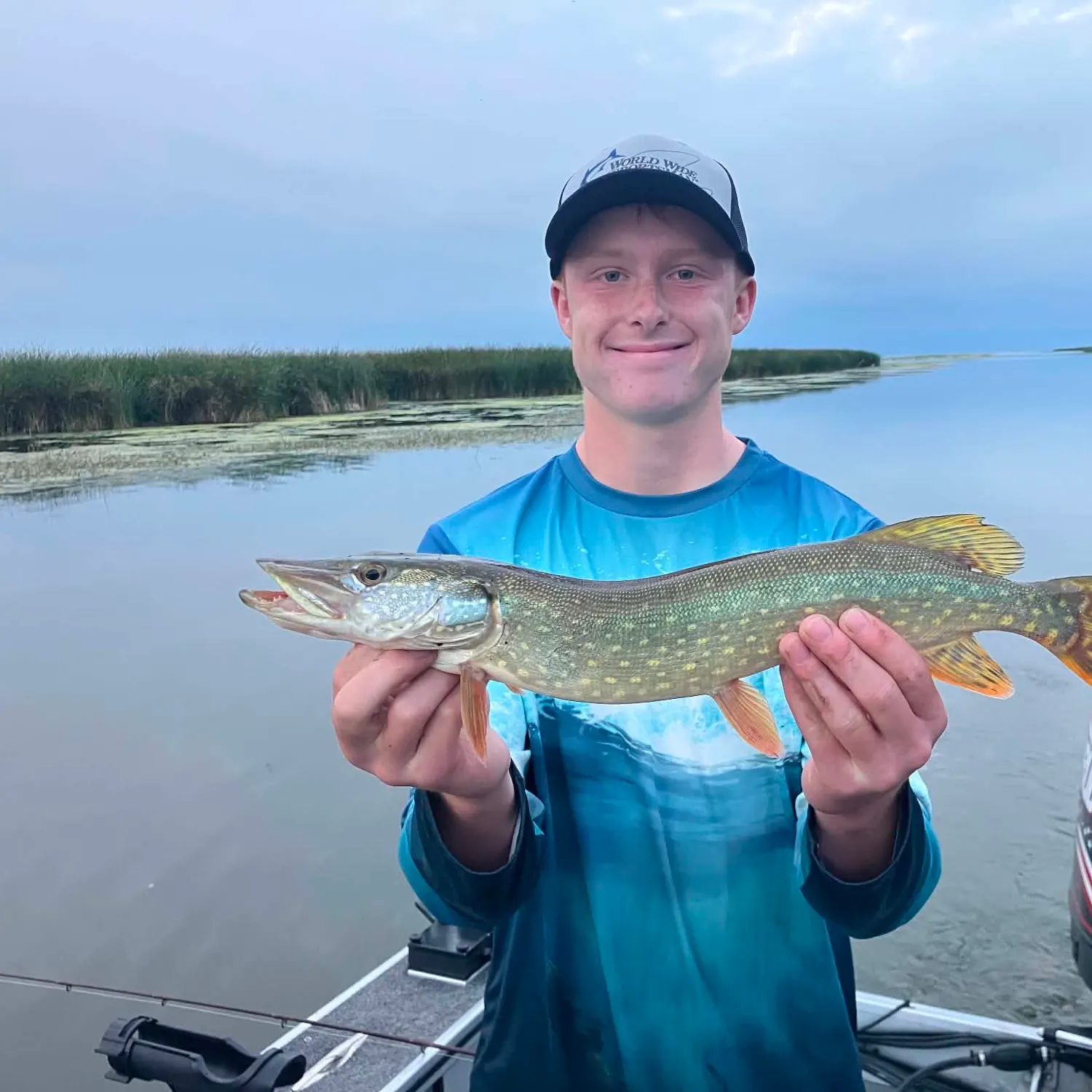 Northern pike caught on Fishbrain