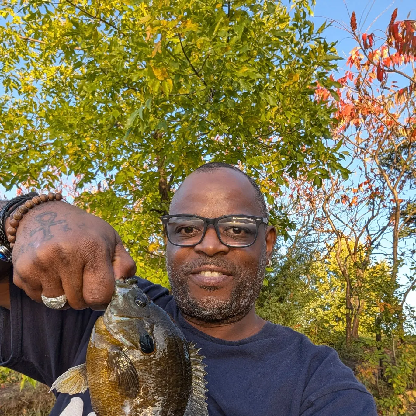 Greengill hybrid caught on Fishbrain