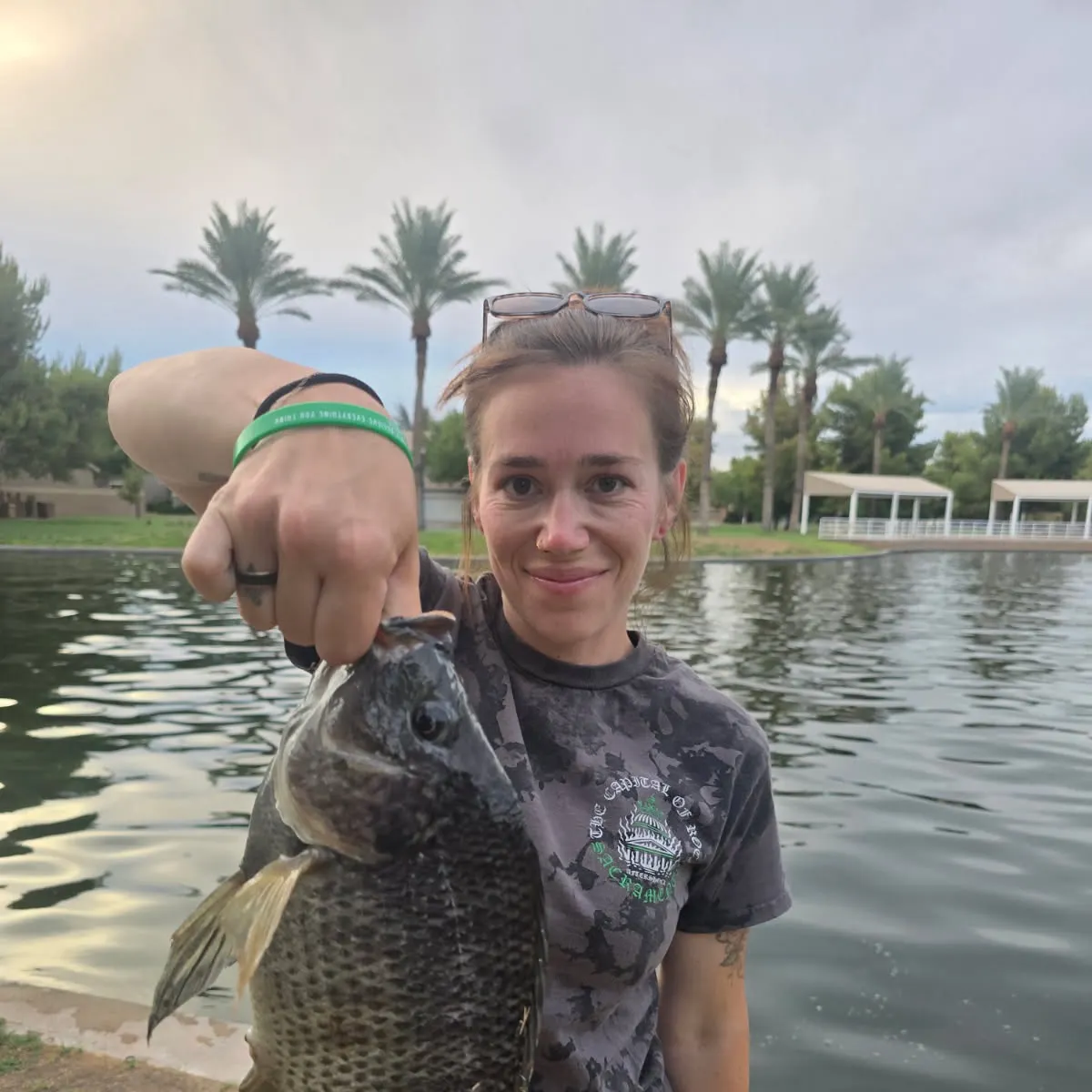 The most recent Nile tilapia catches on Fishbrain