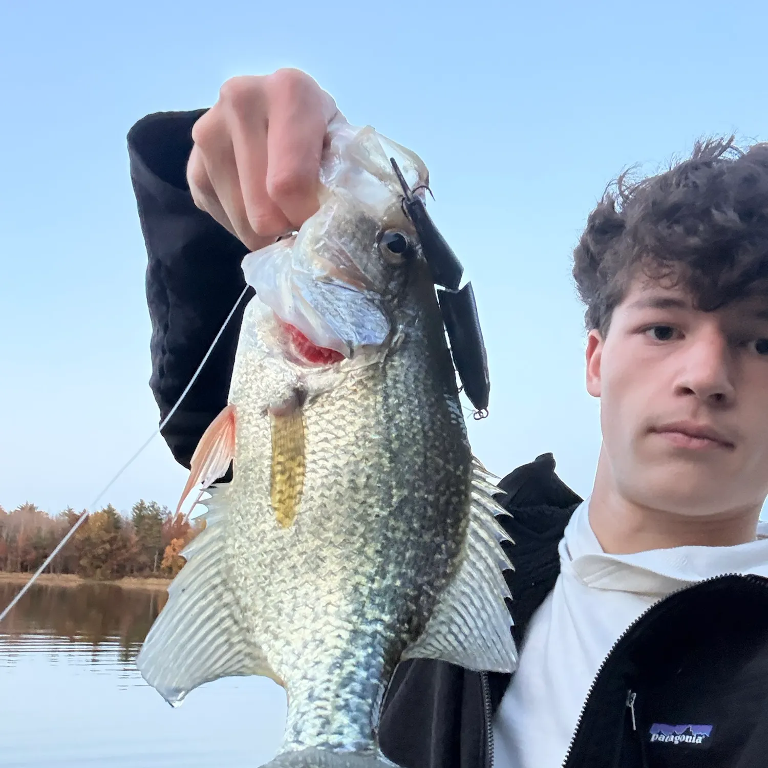 Black crappie caught on Fishbrain